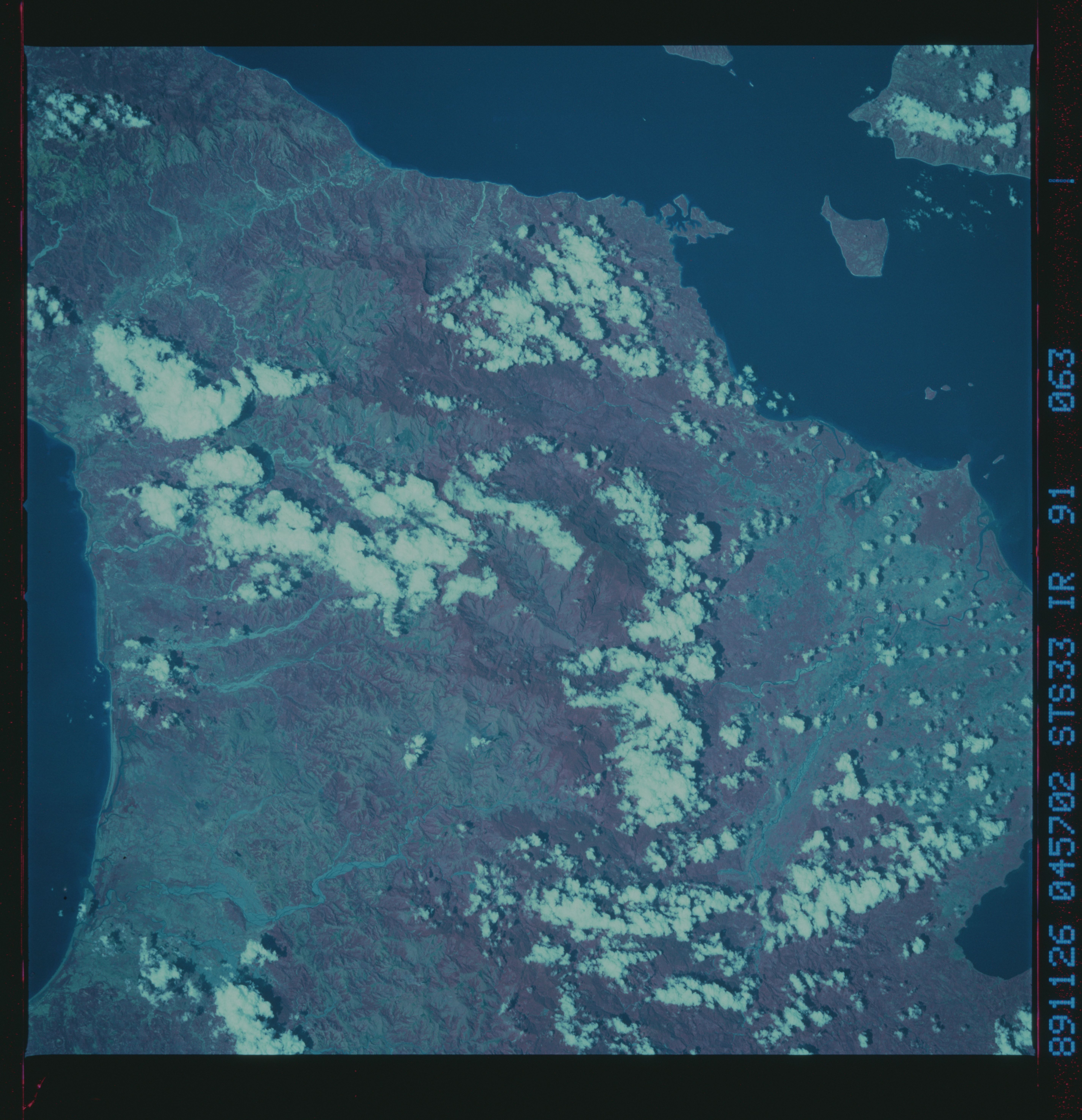 Image display