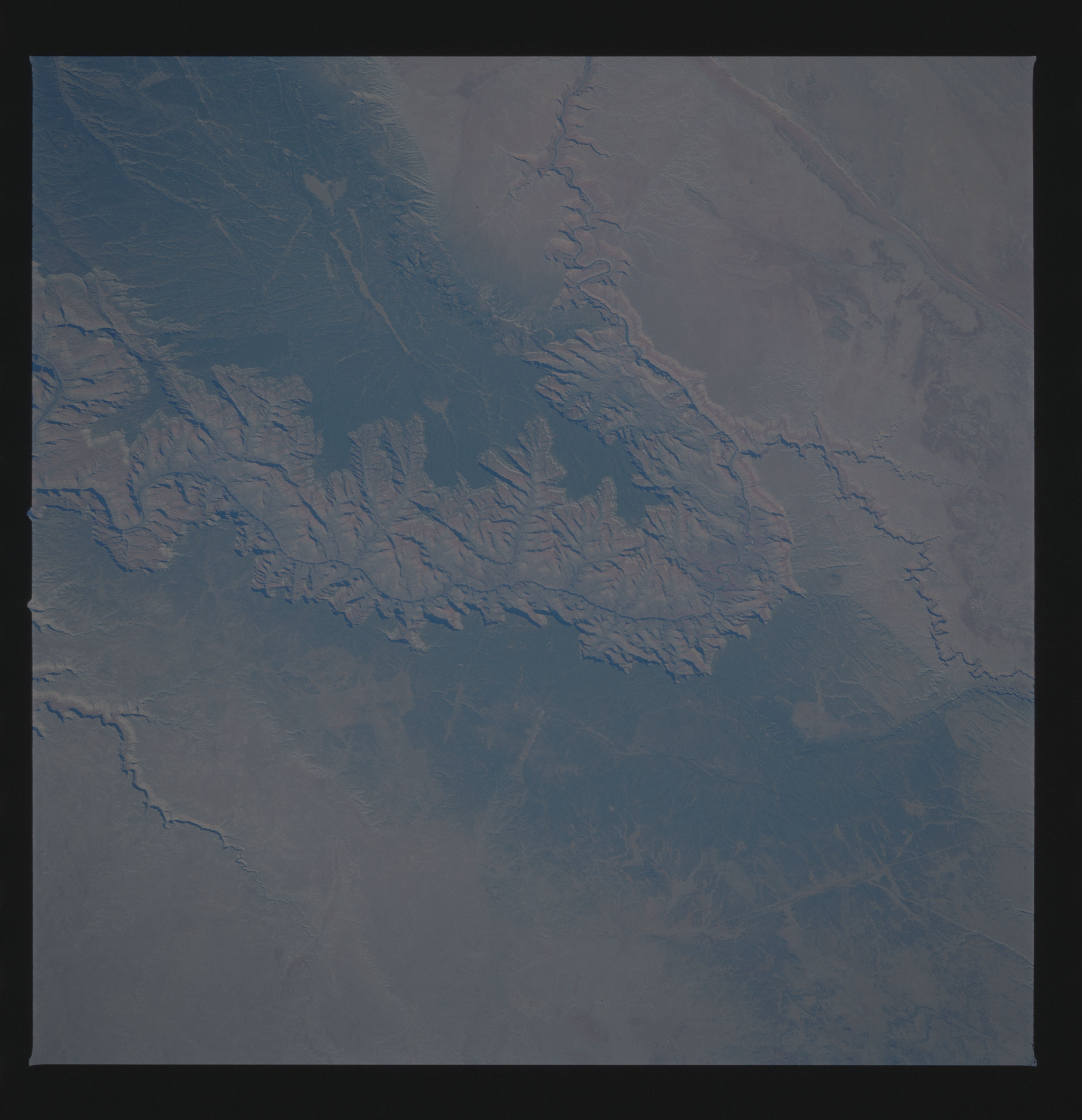 Image display