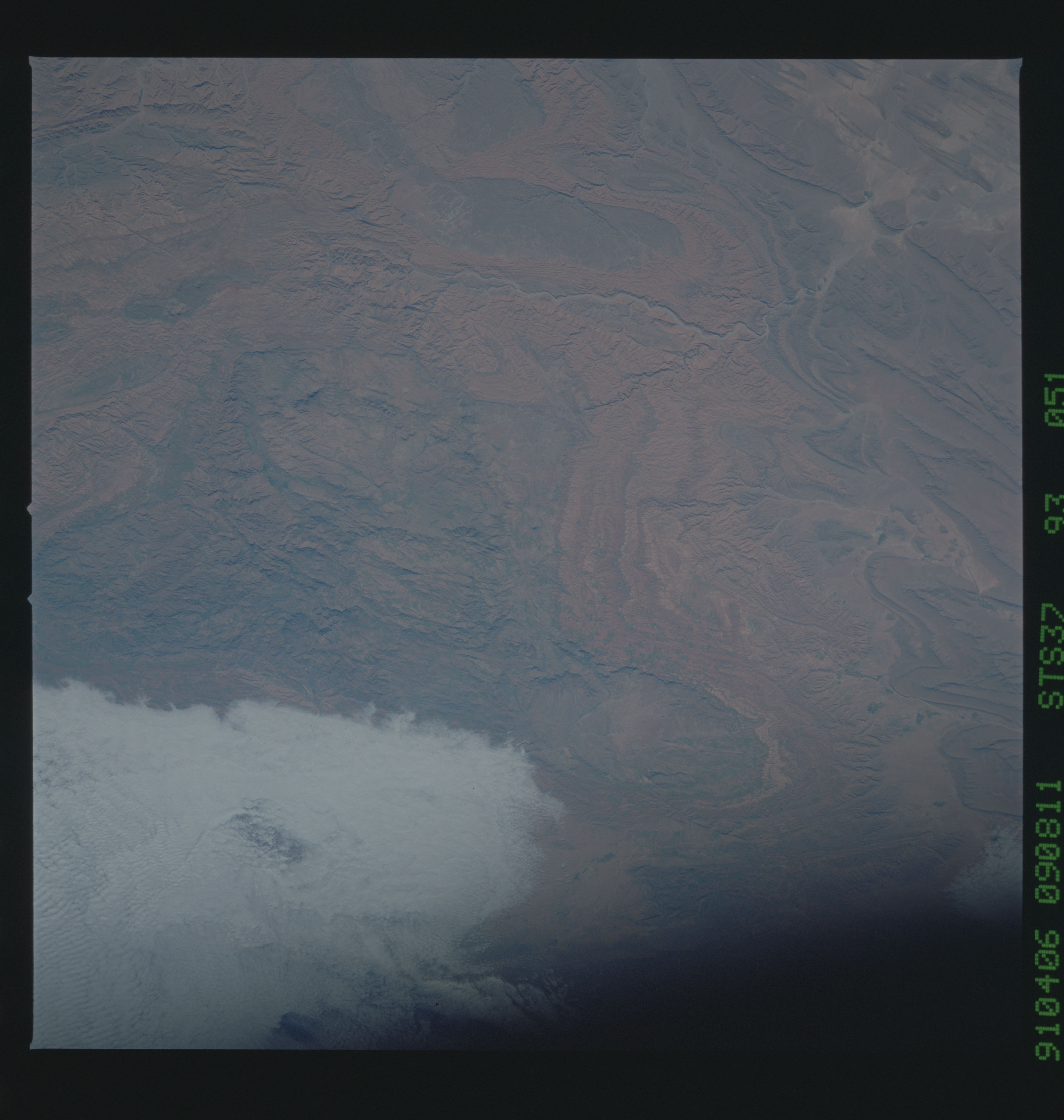 Image display