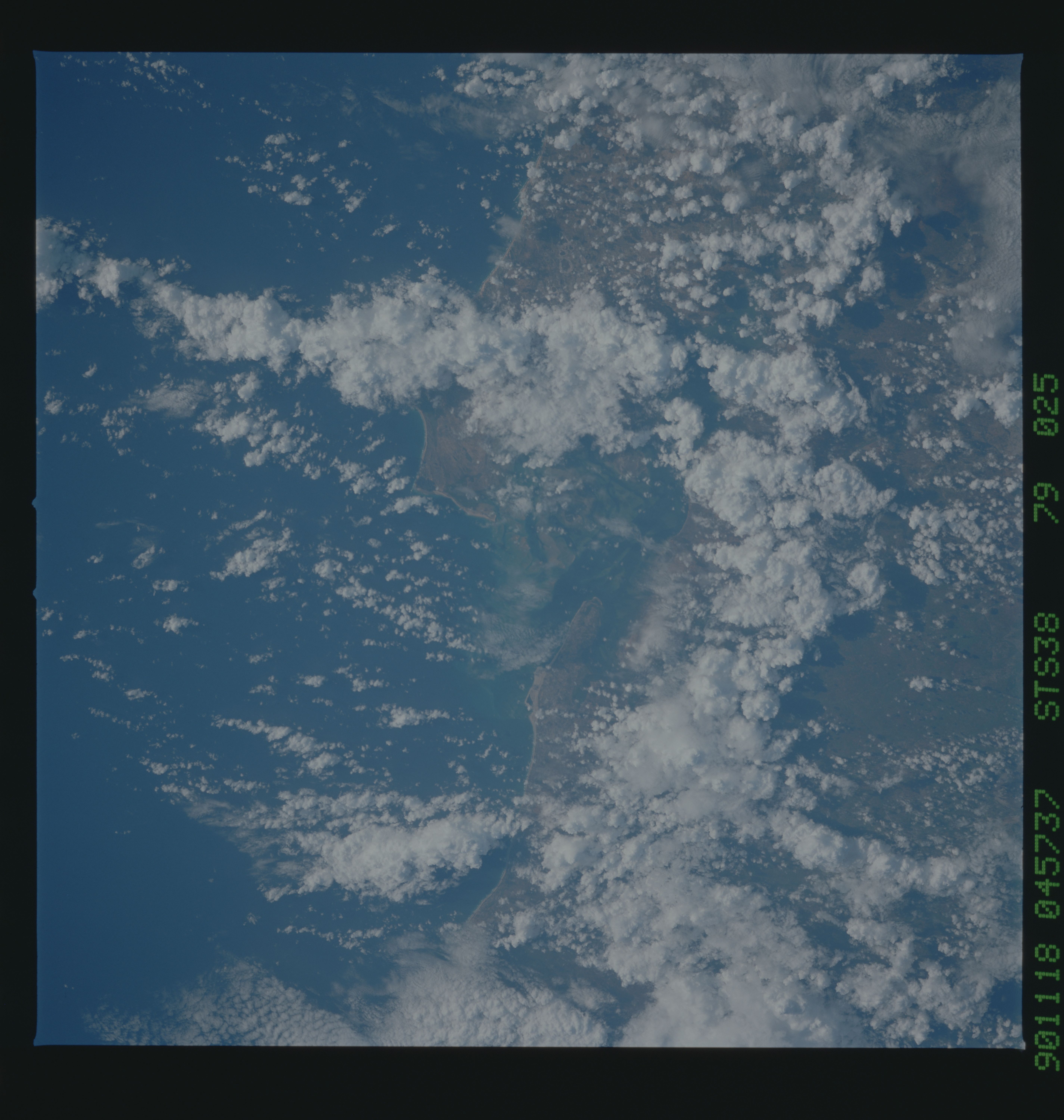 Image display