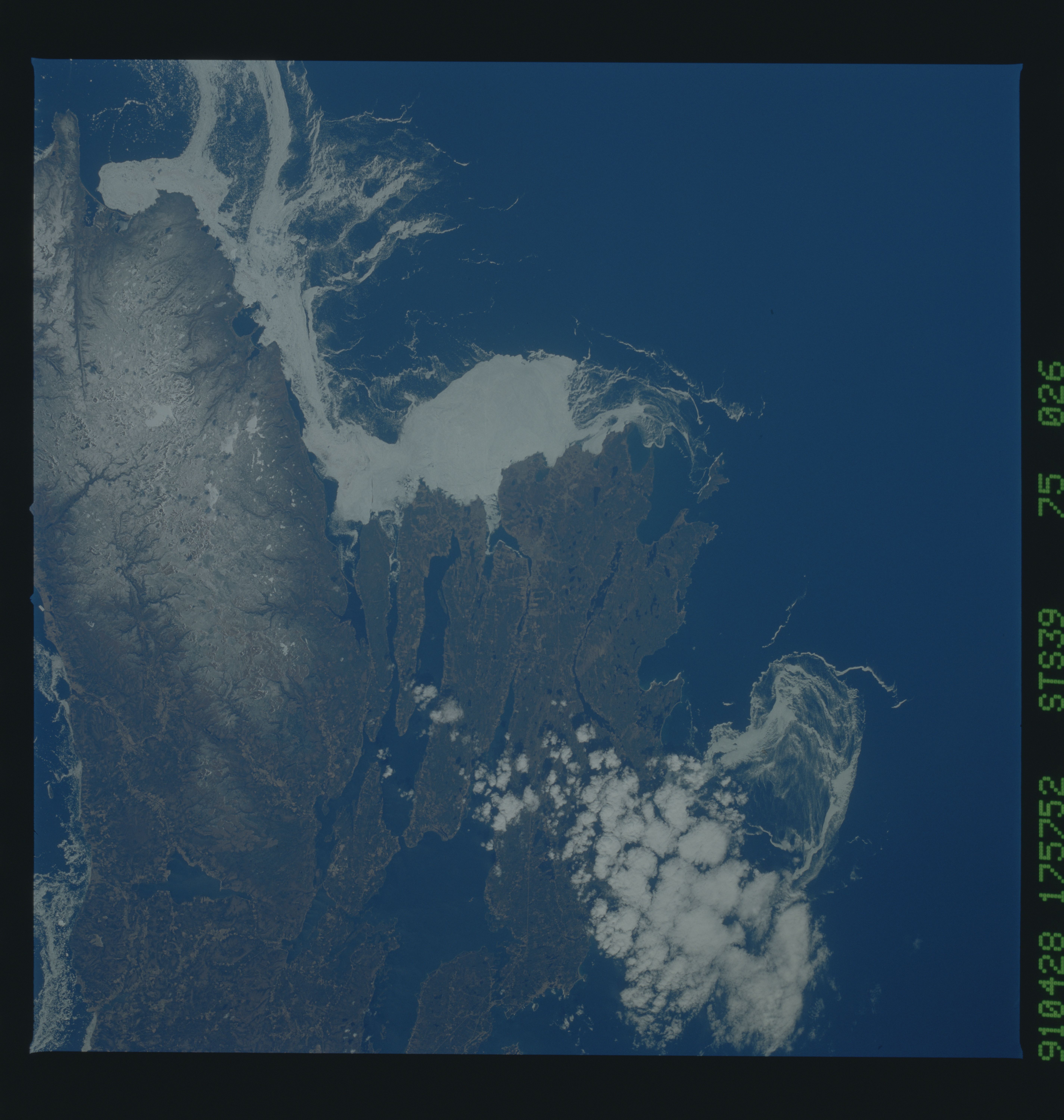 Image display