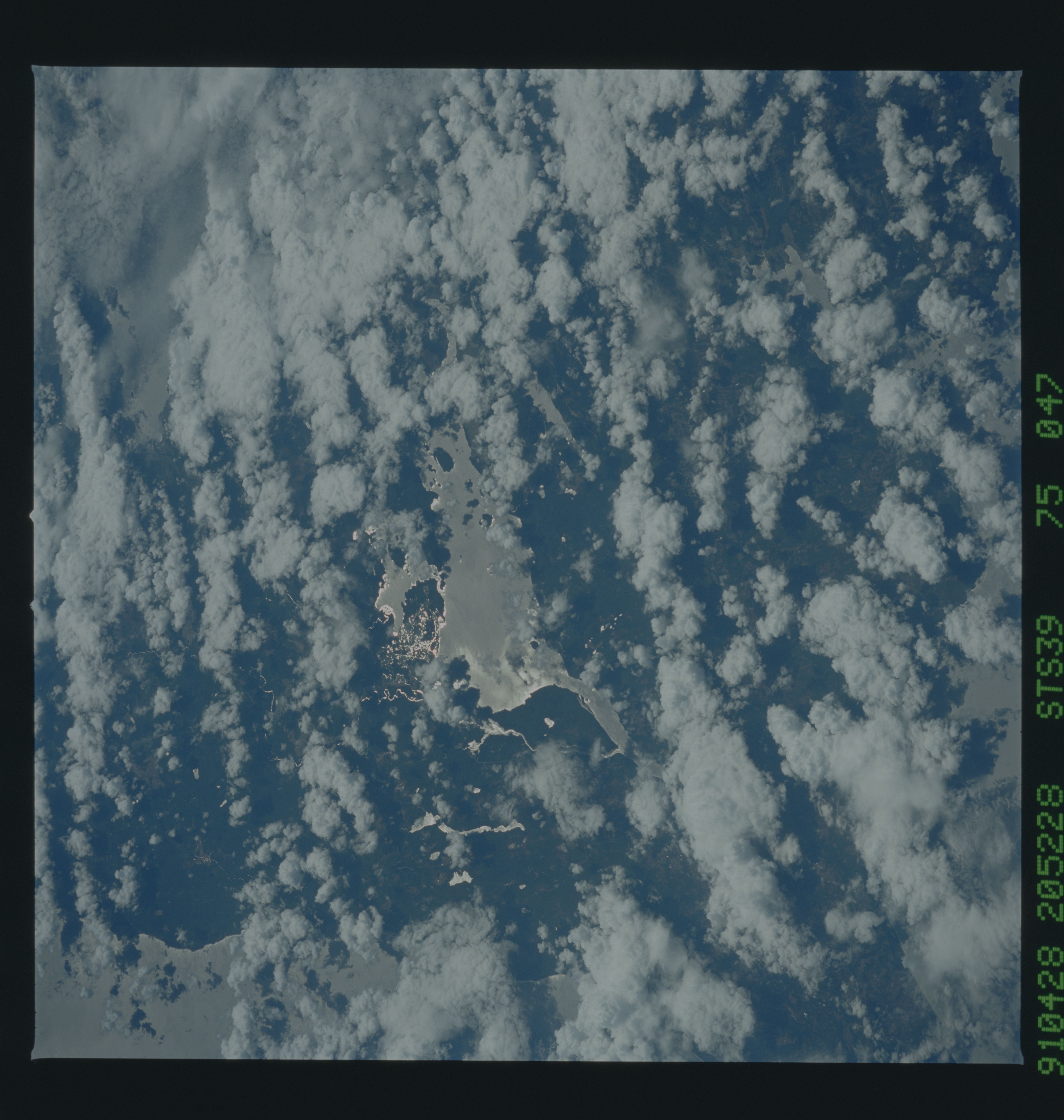 Image display