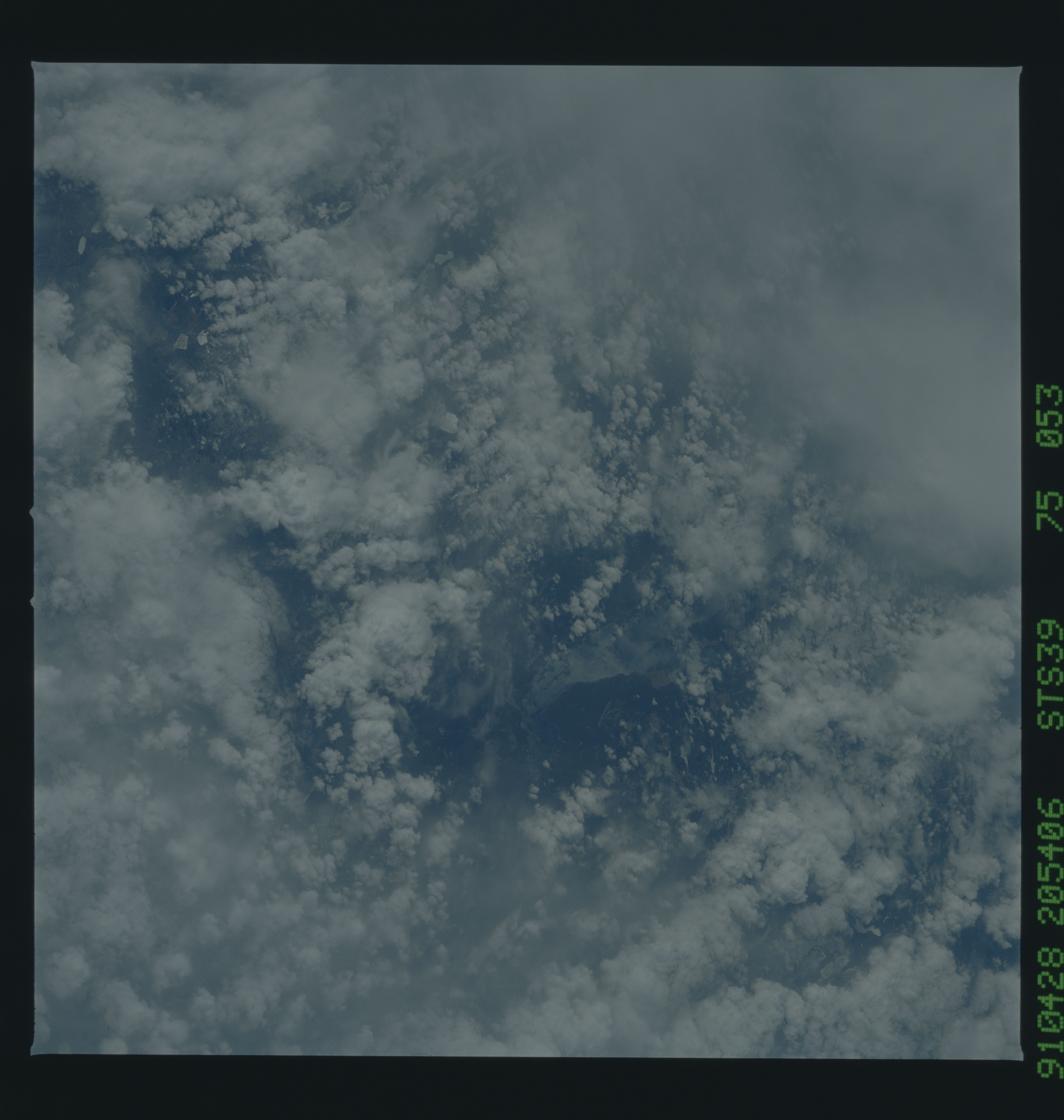 Image display