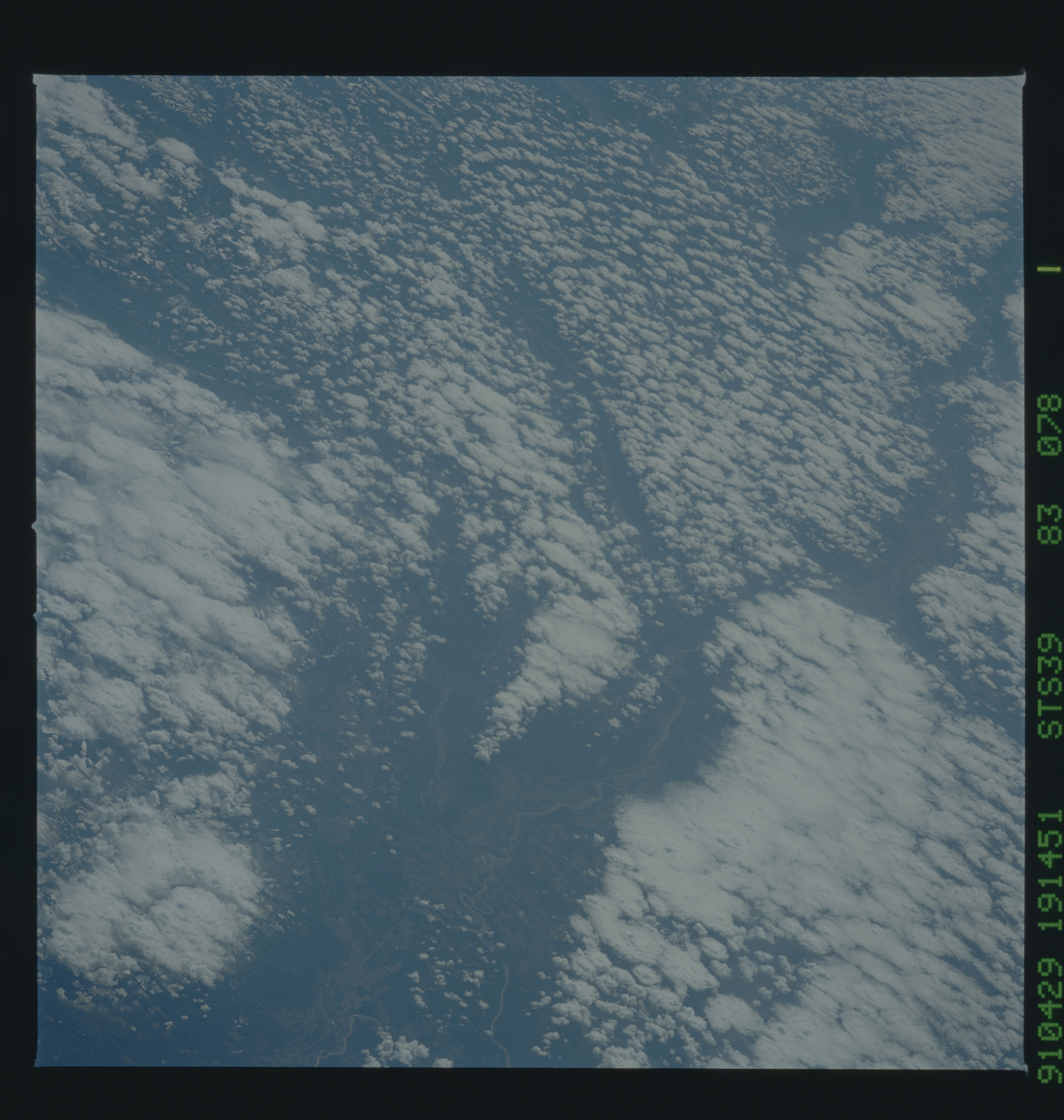 Image display