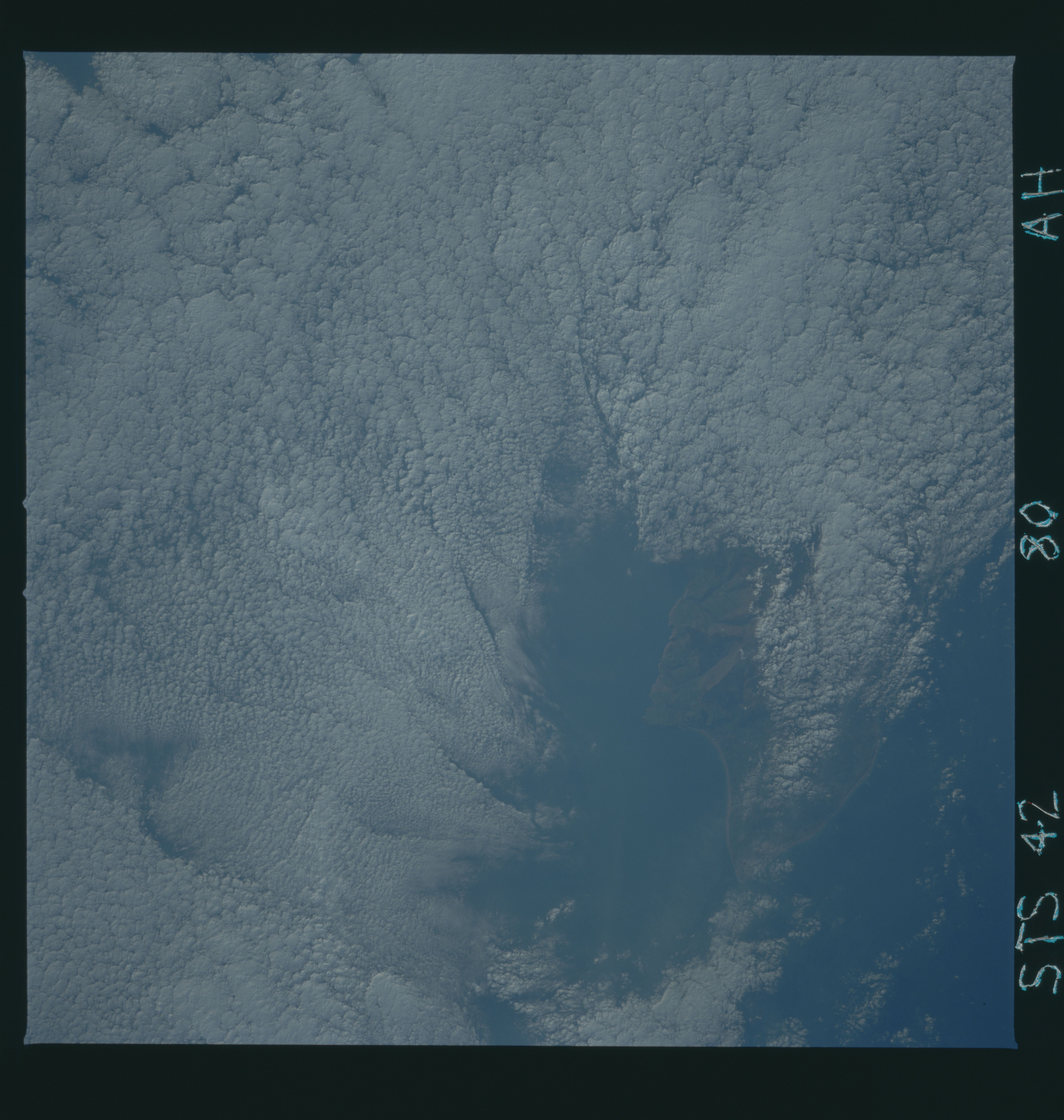 Image display
