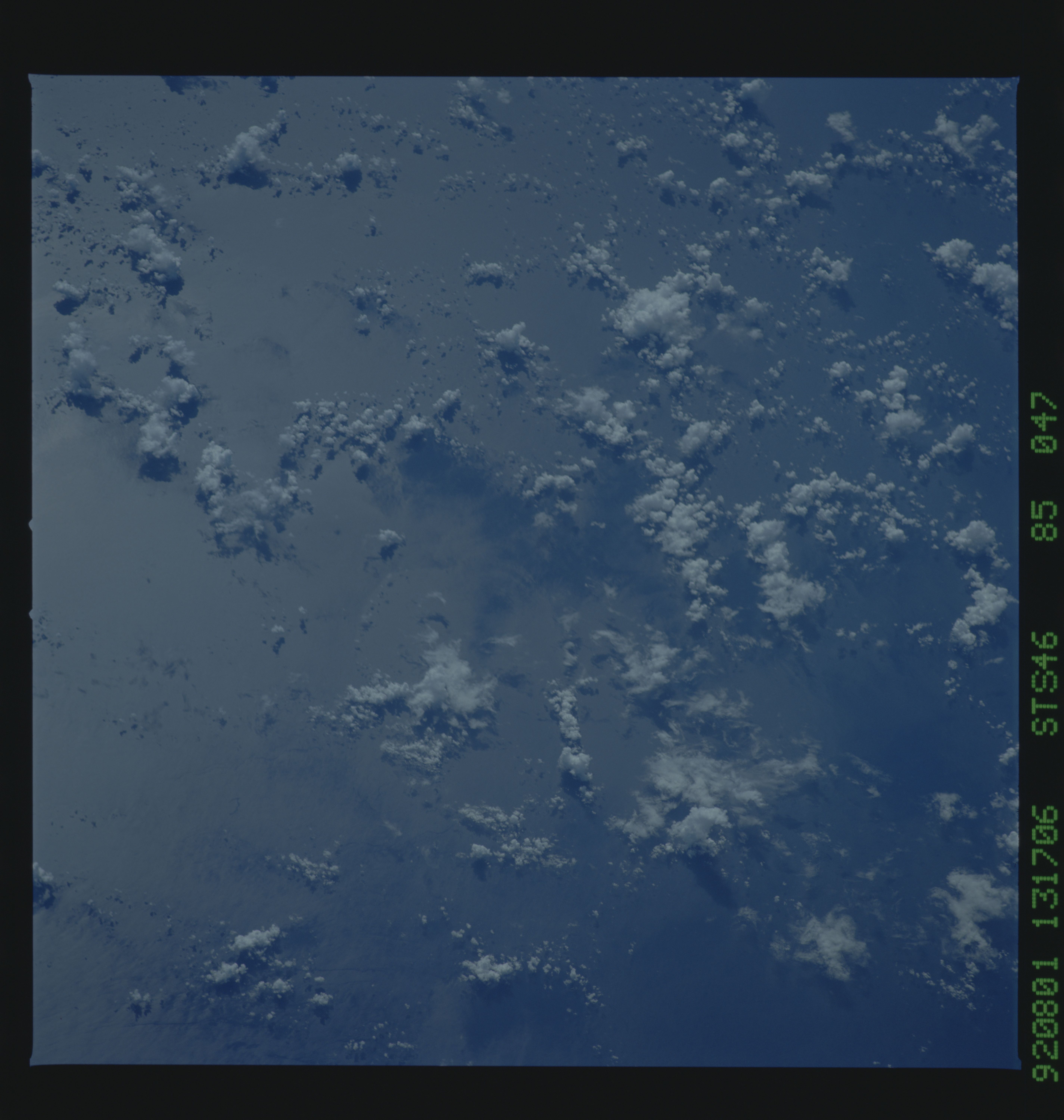Image display