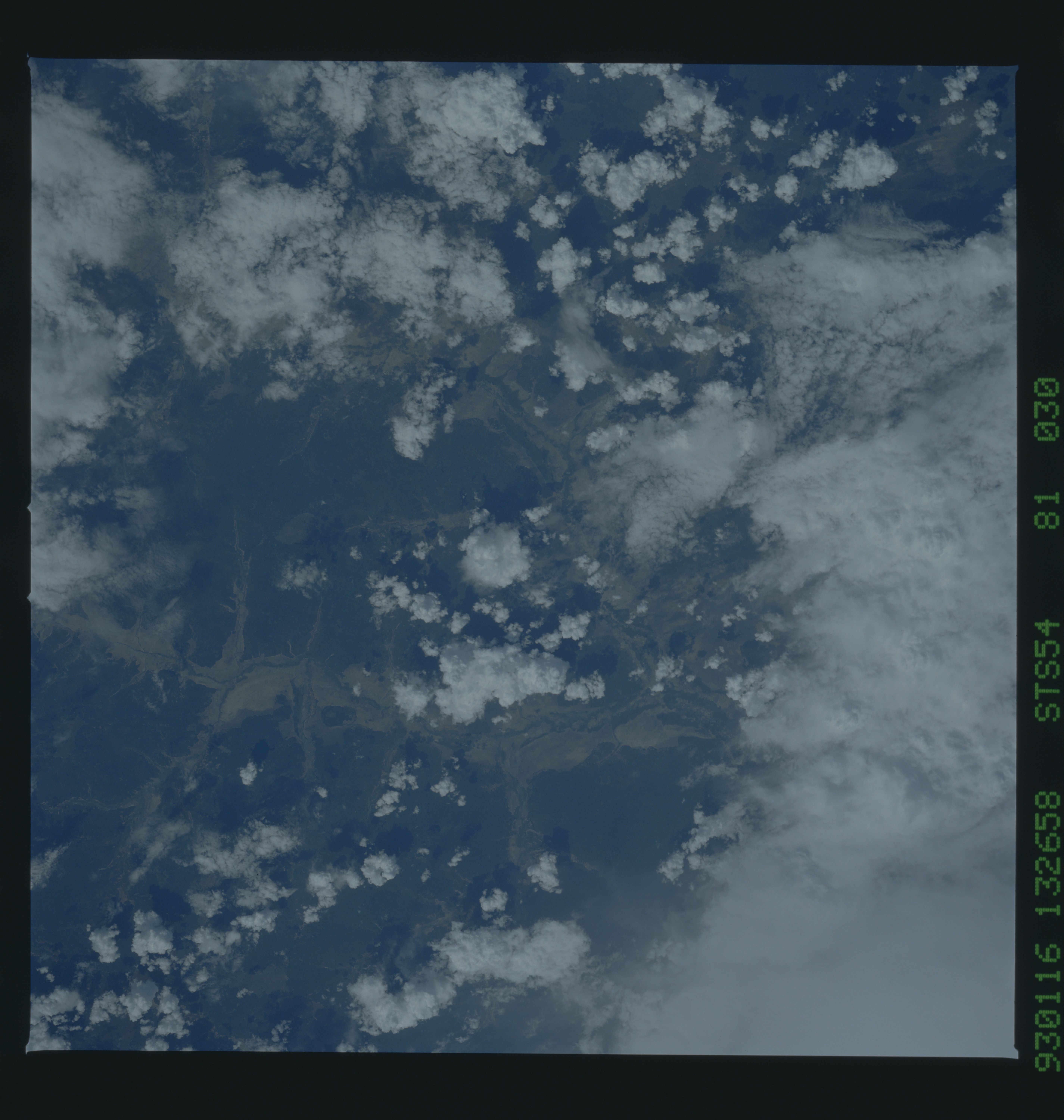 Image display