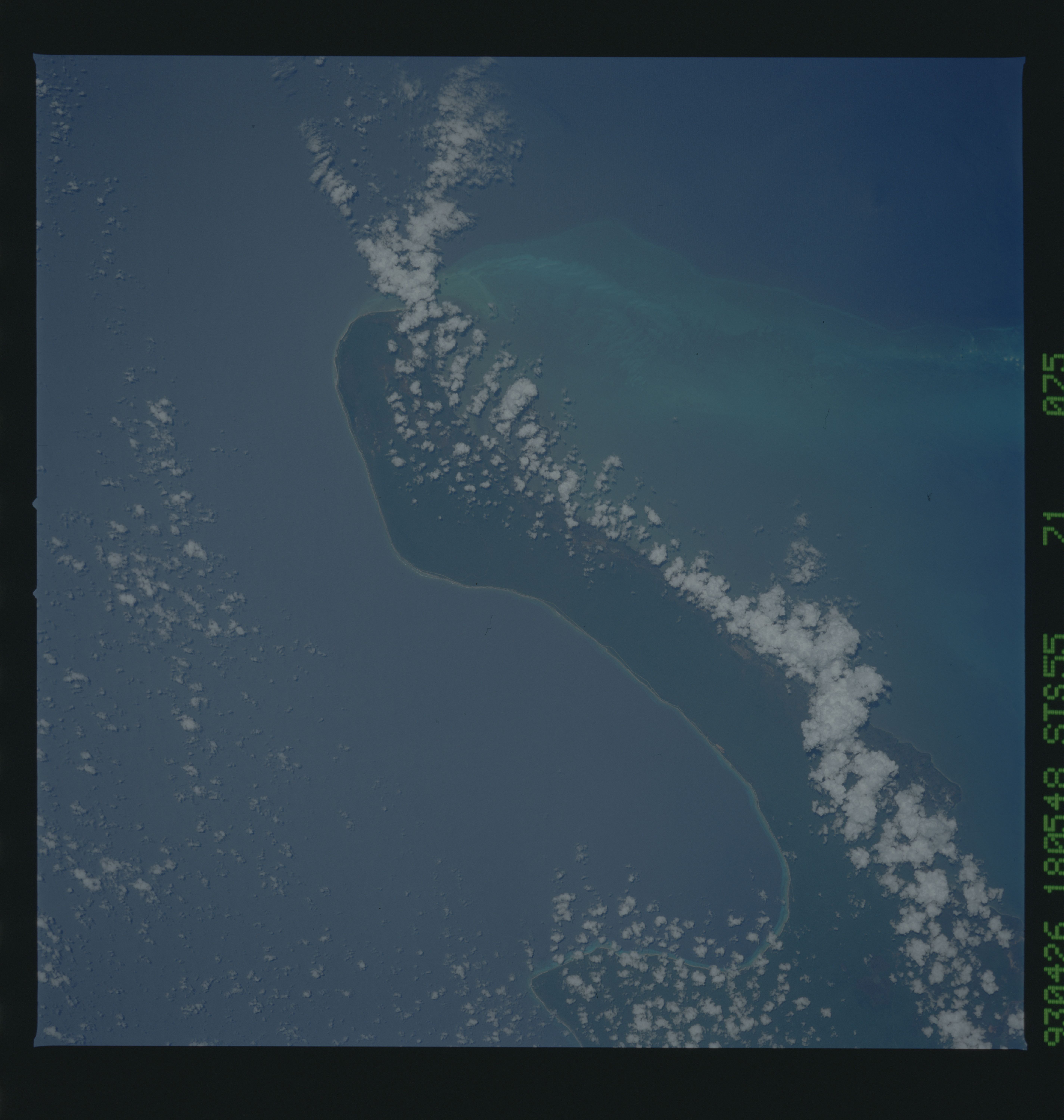 Image display