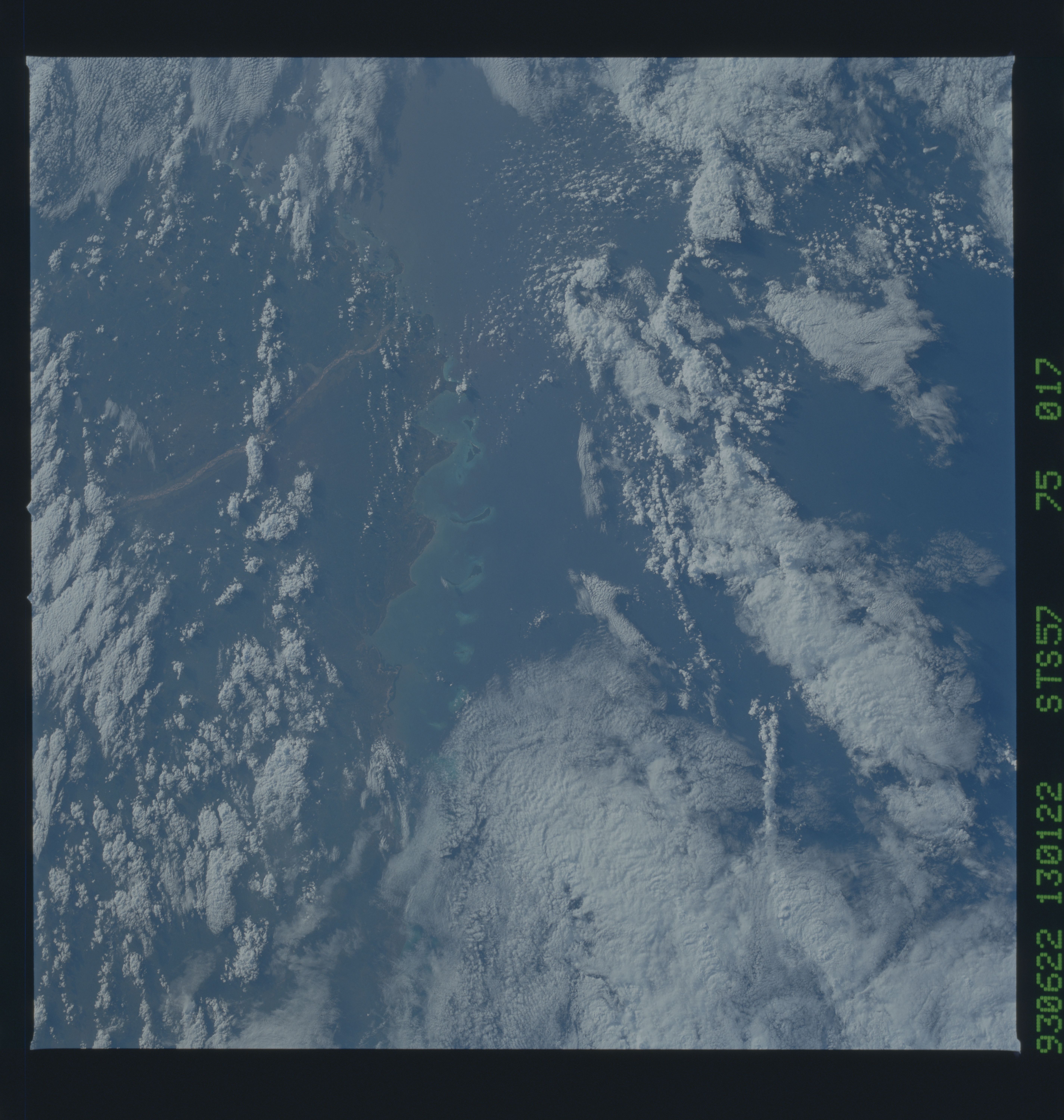 Image display