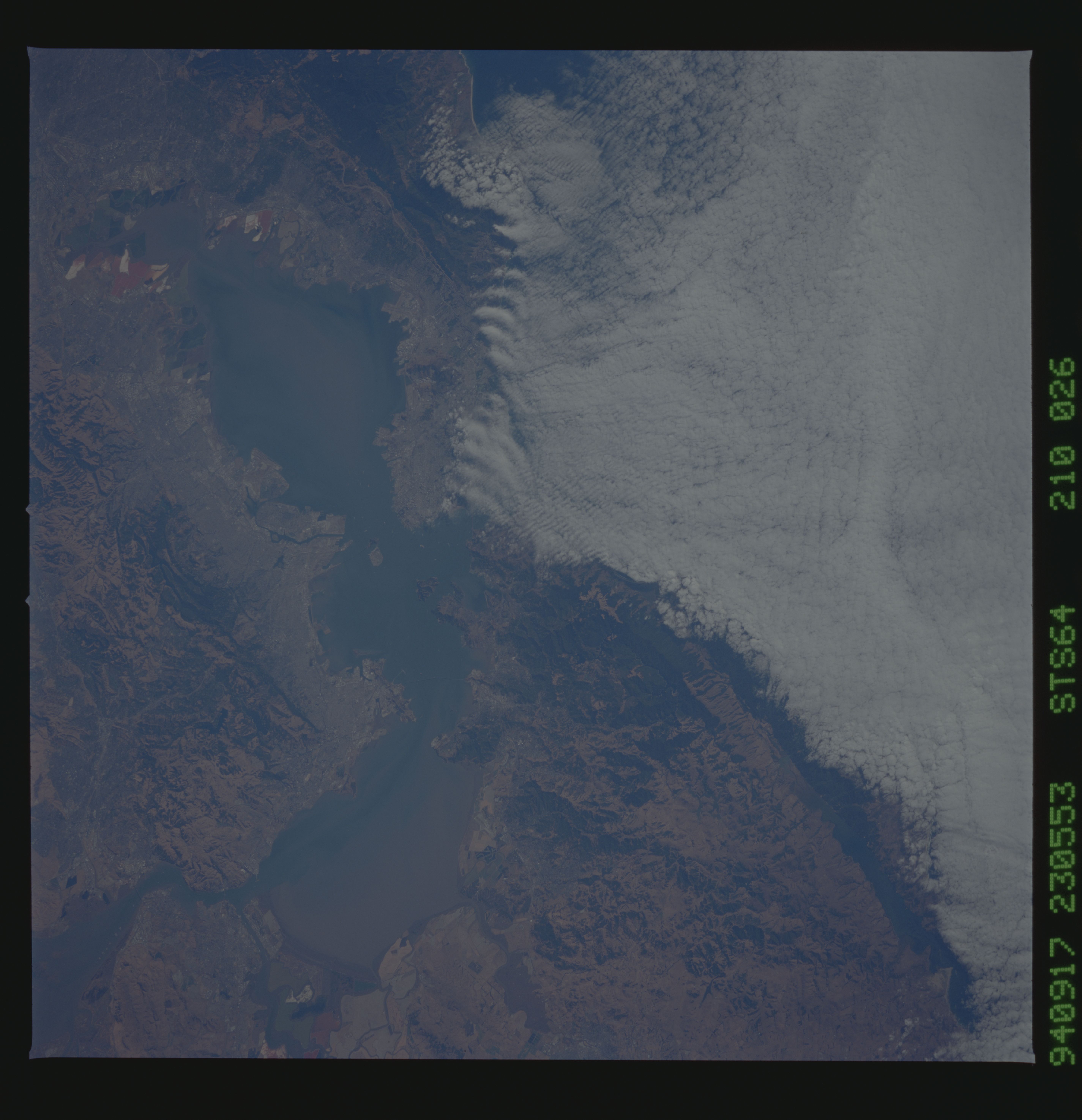 Image display