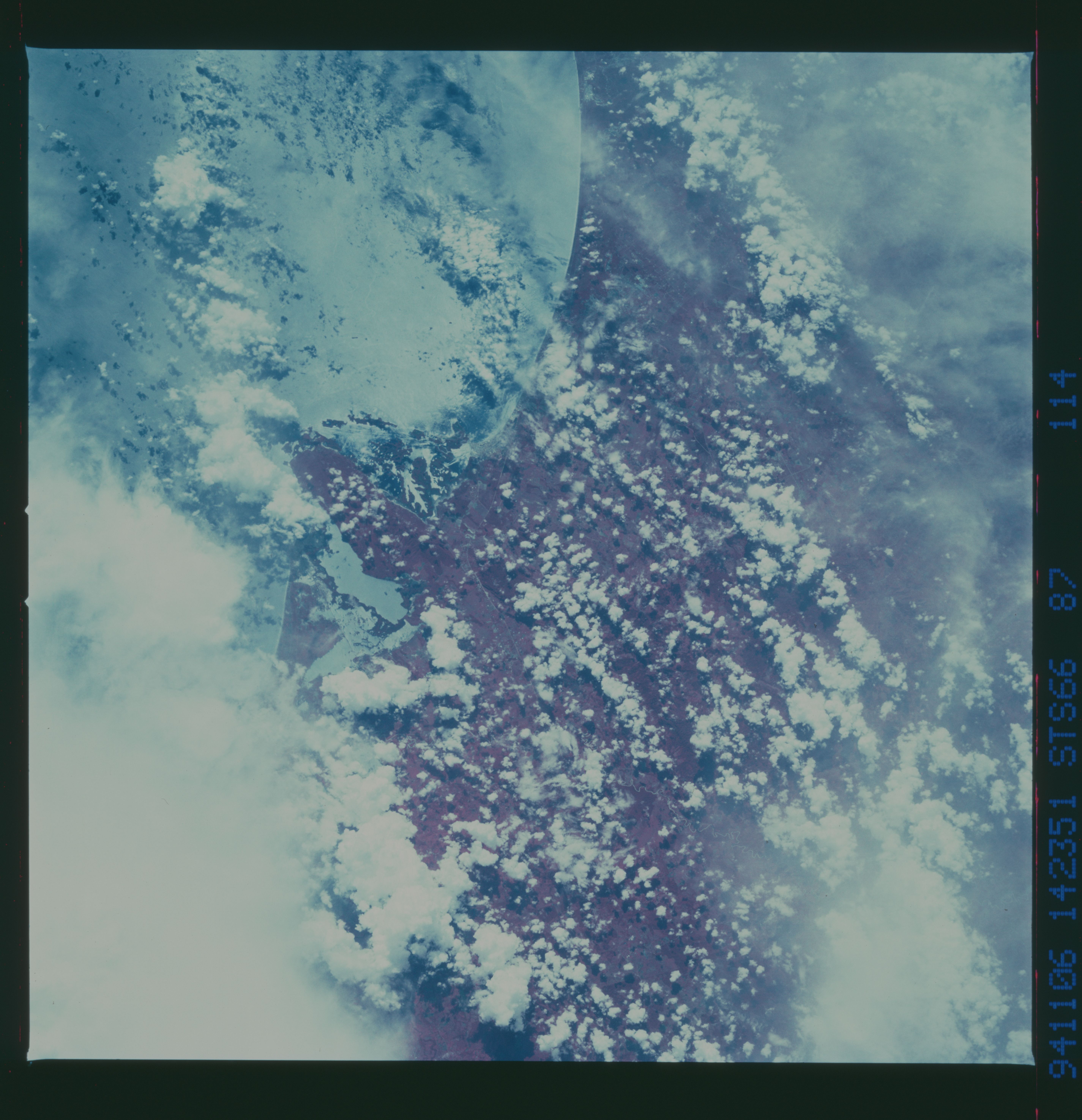 Image display