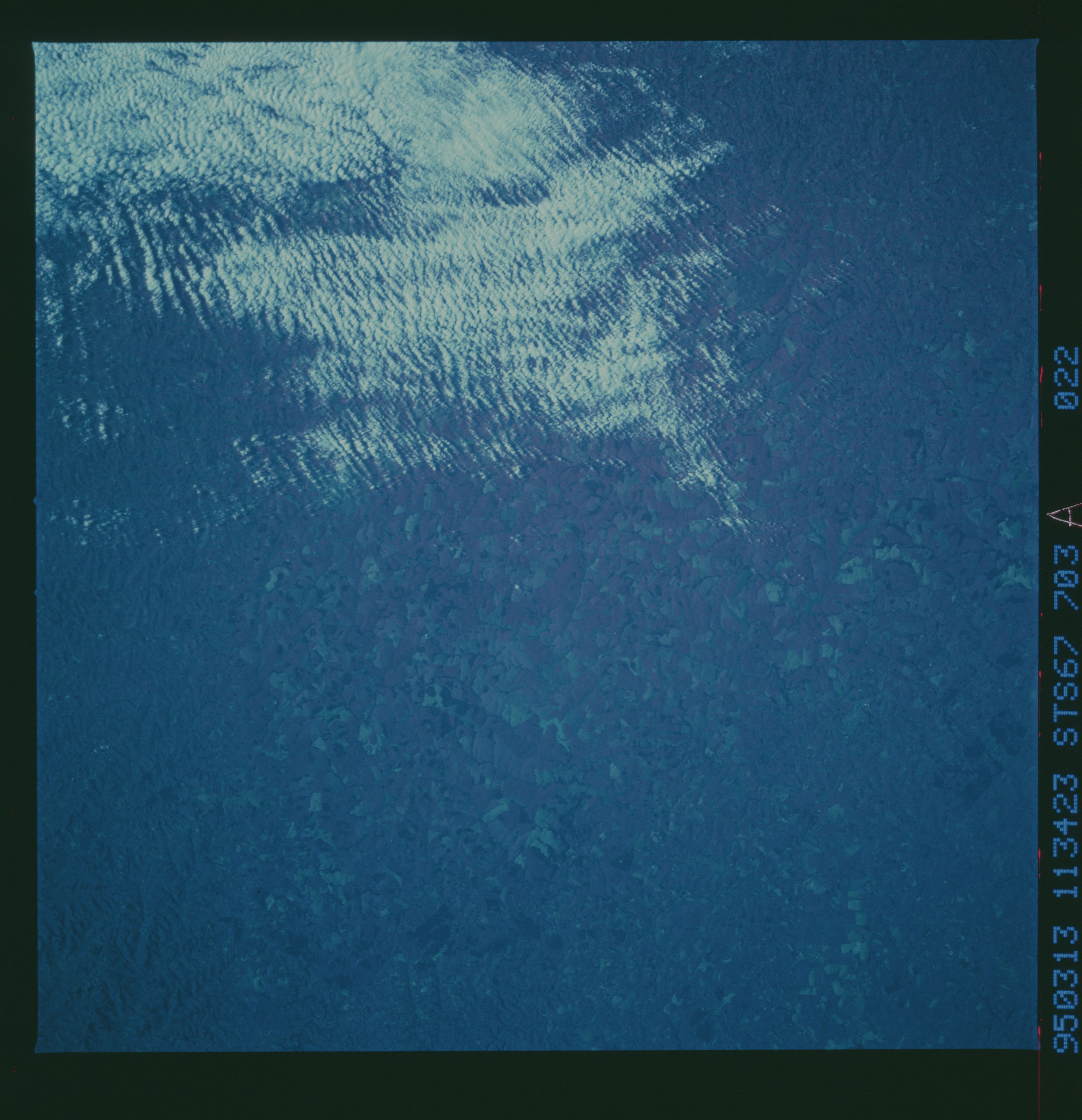 Image display
