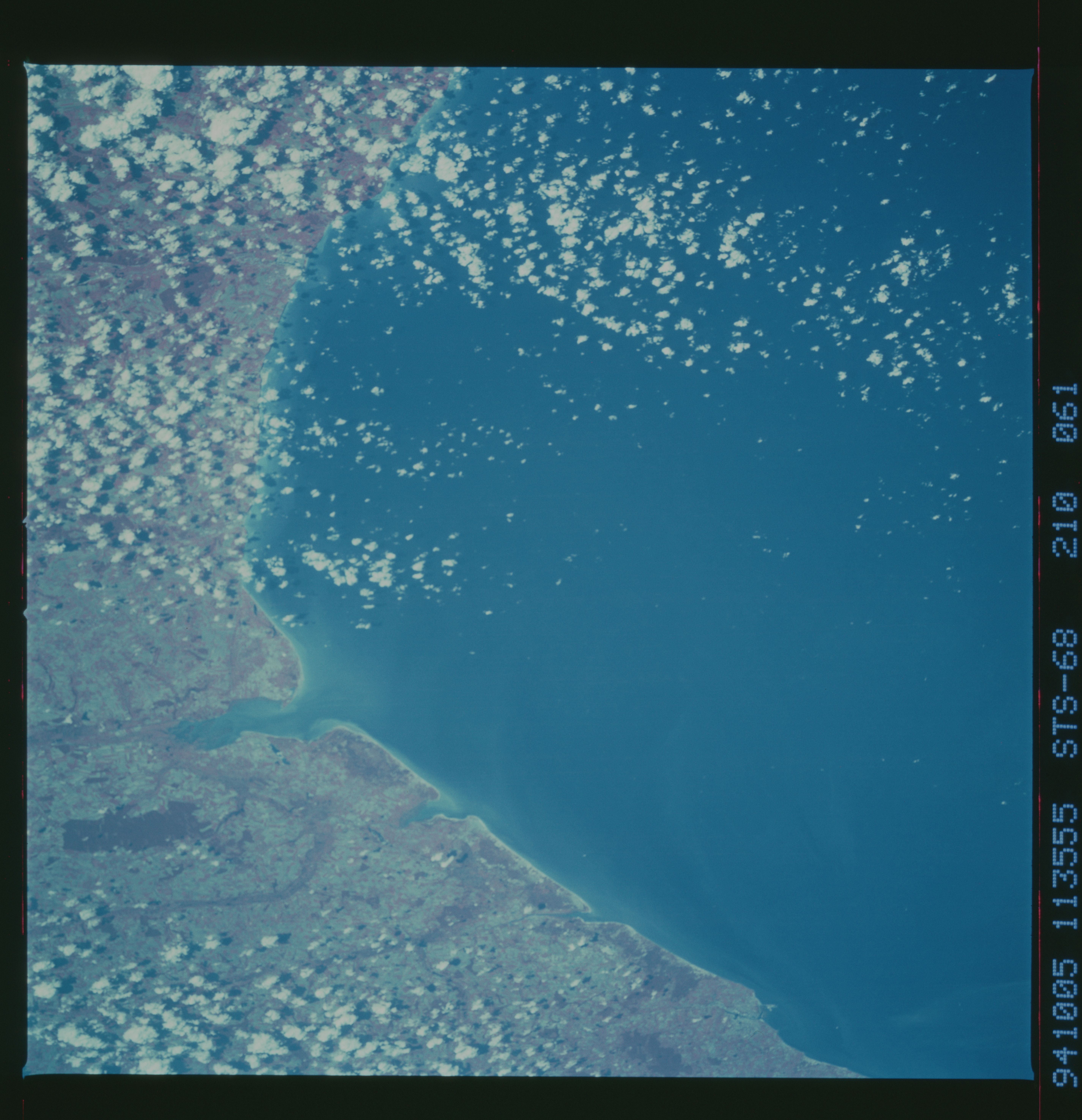 Image display
