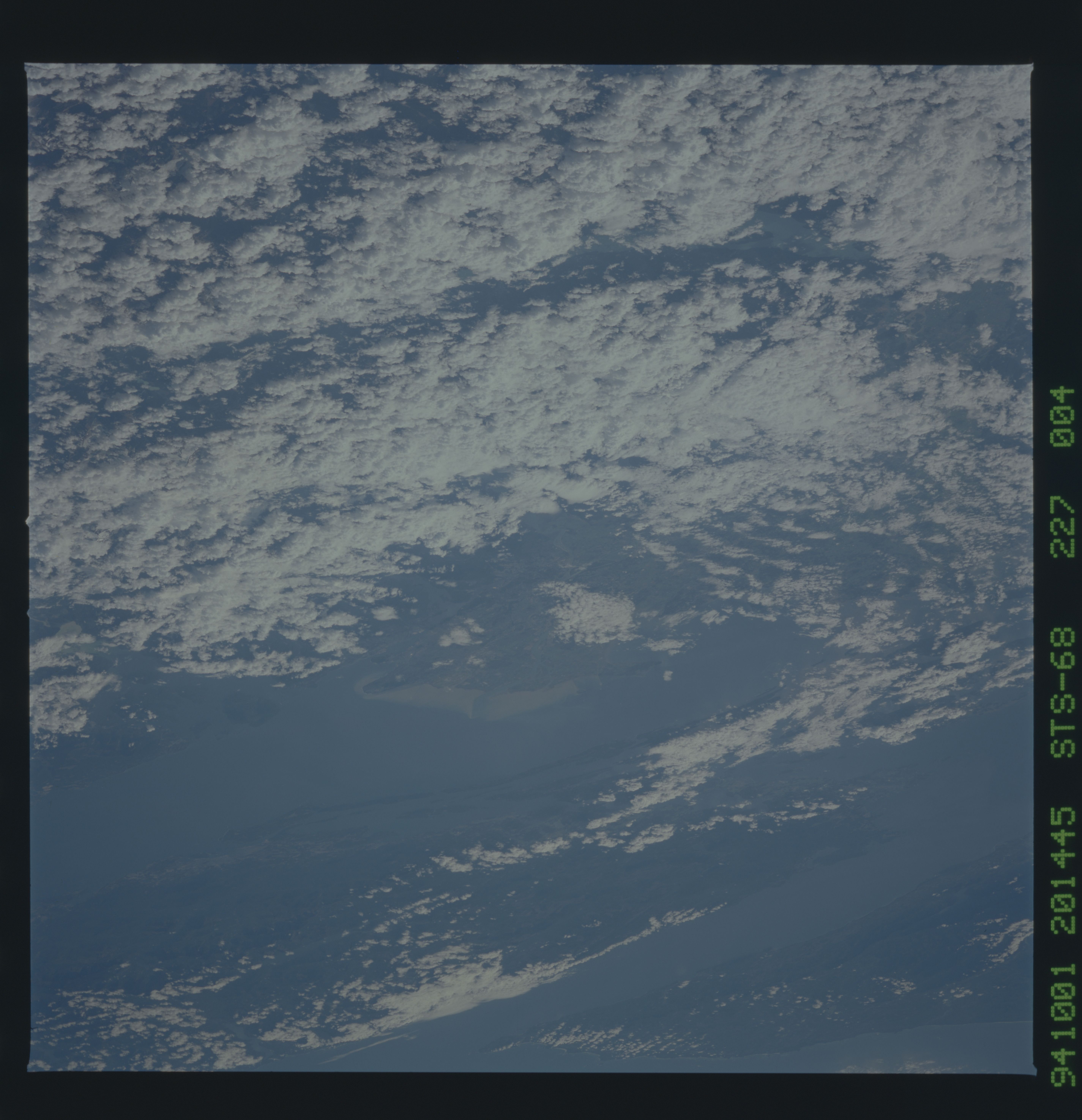 Image display
