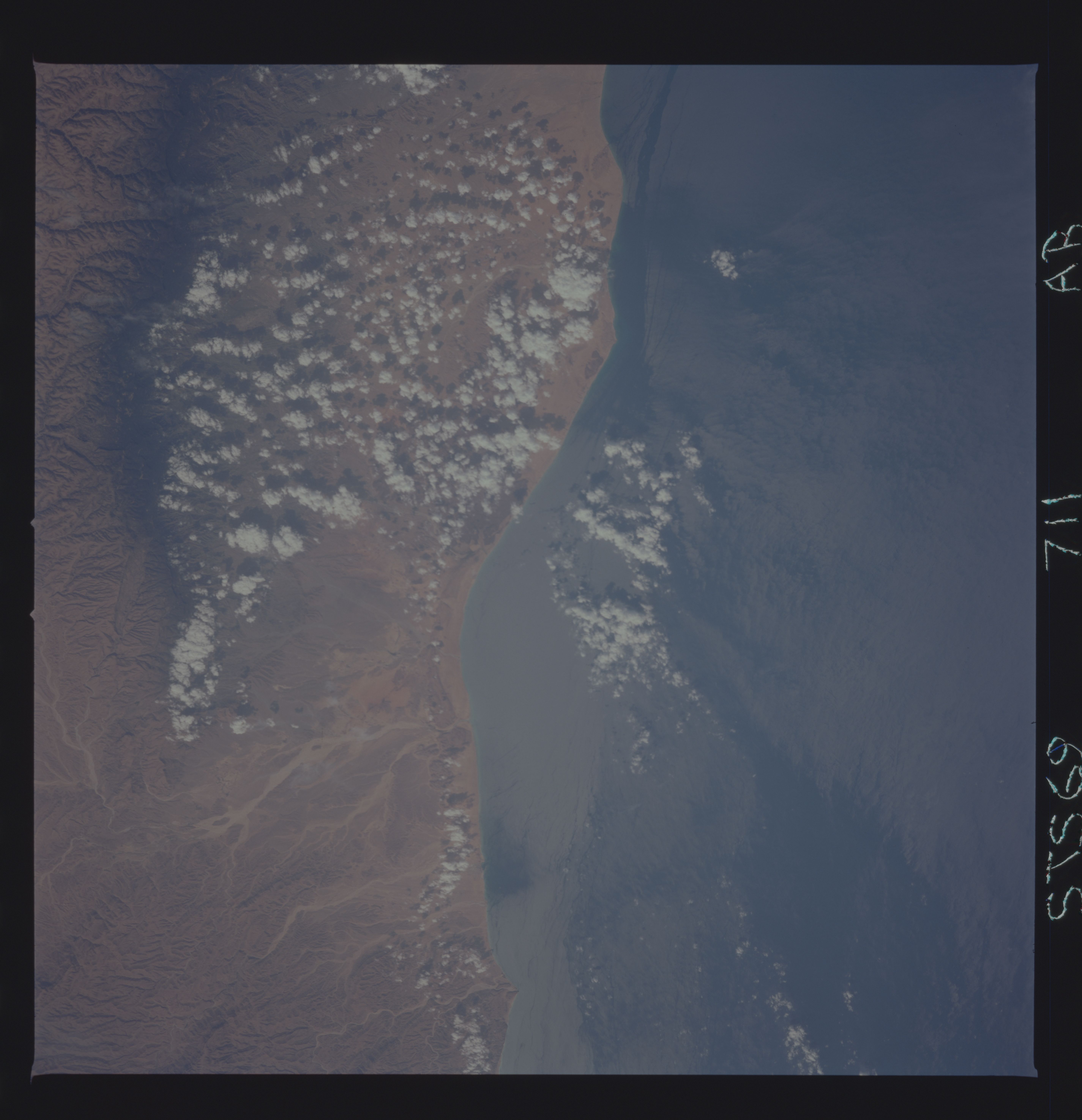 Image display