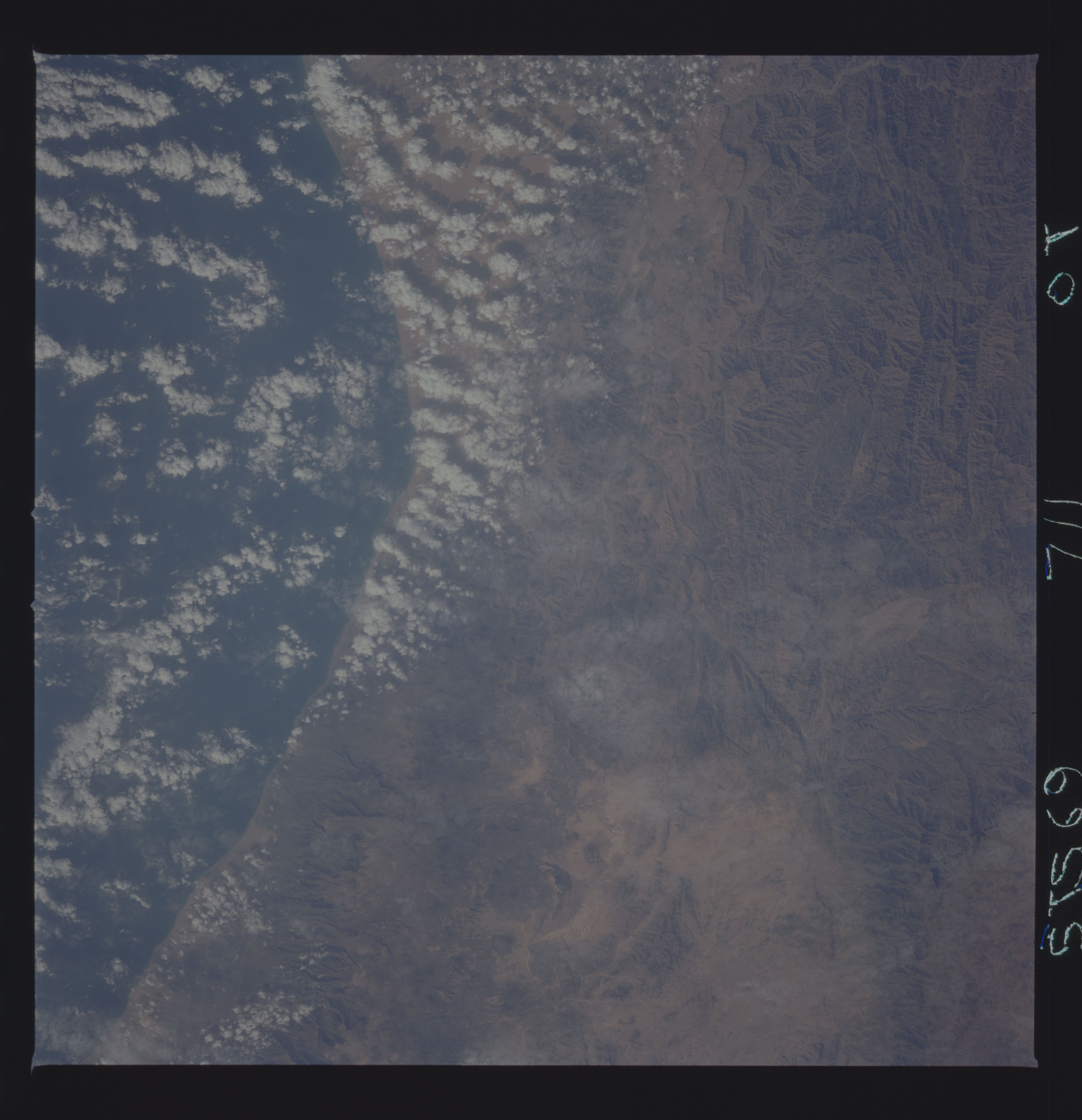 Image display