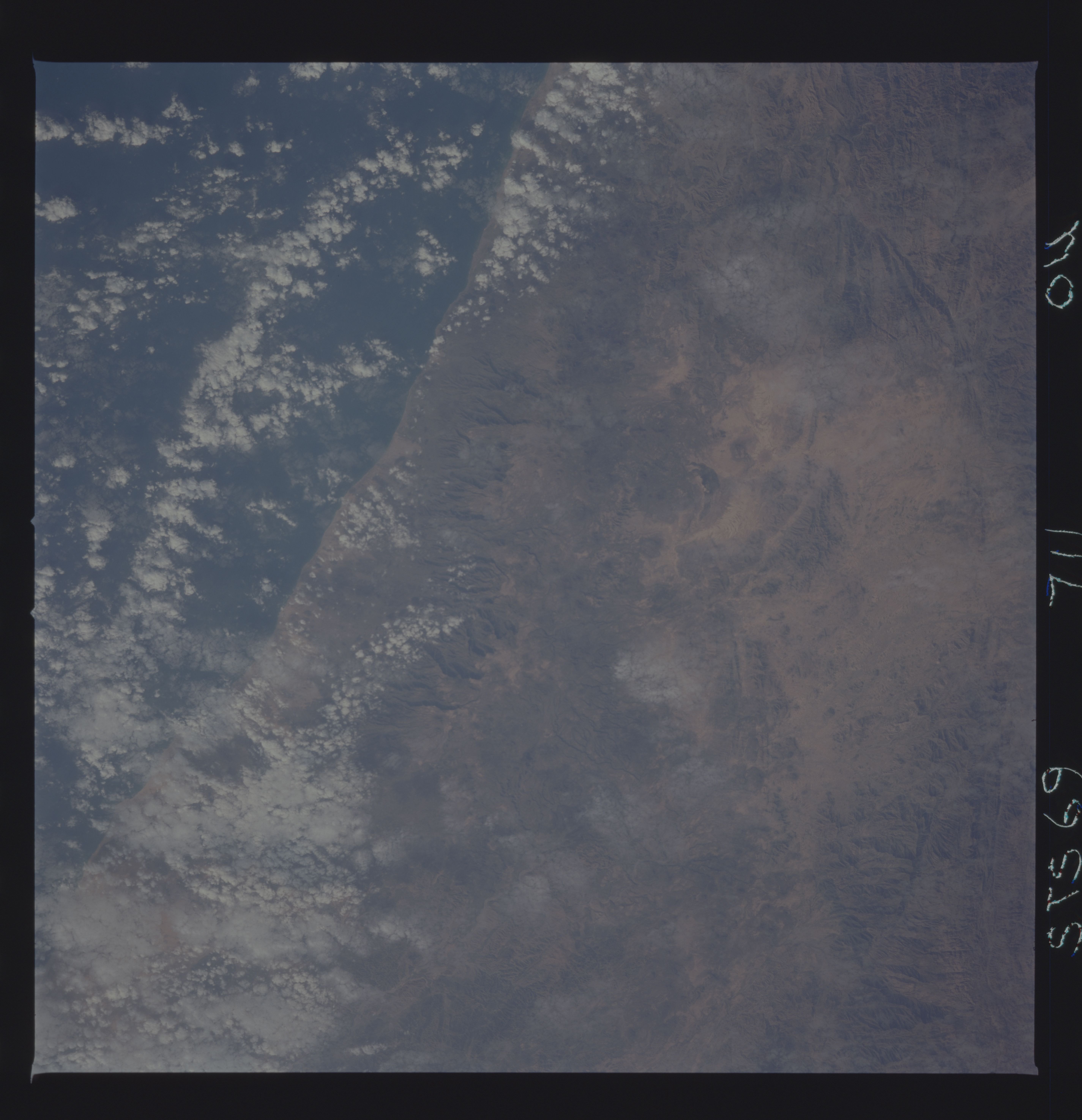 Image display