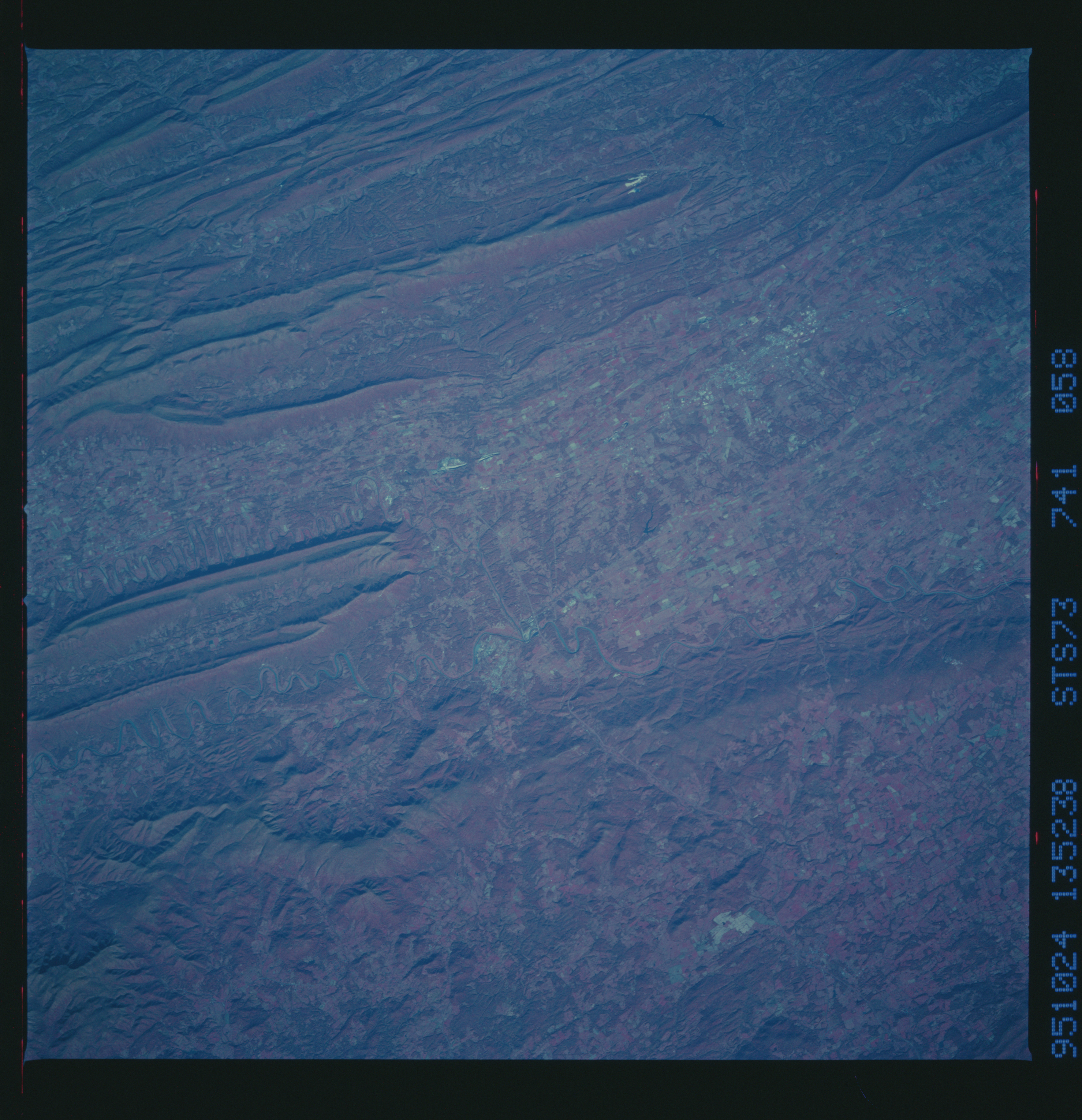 Image display