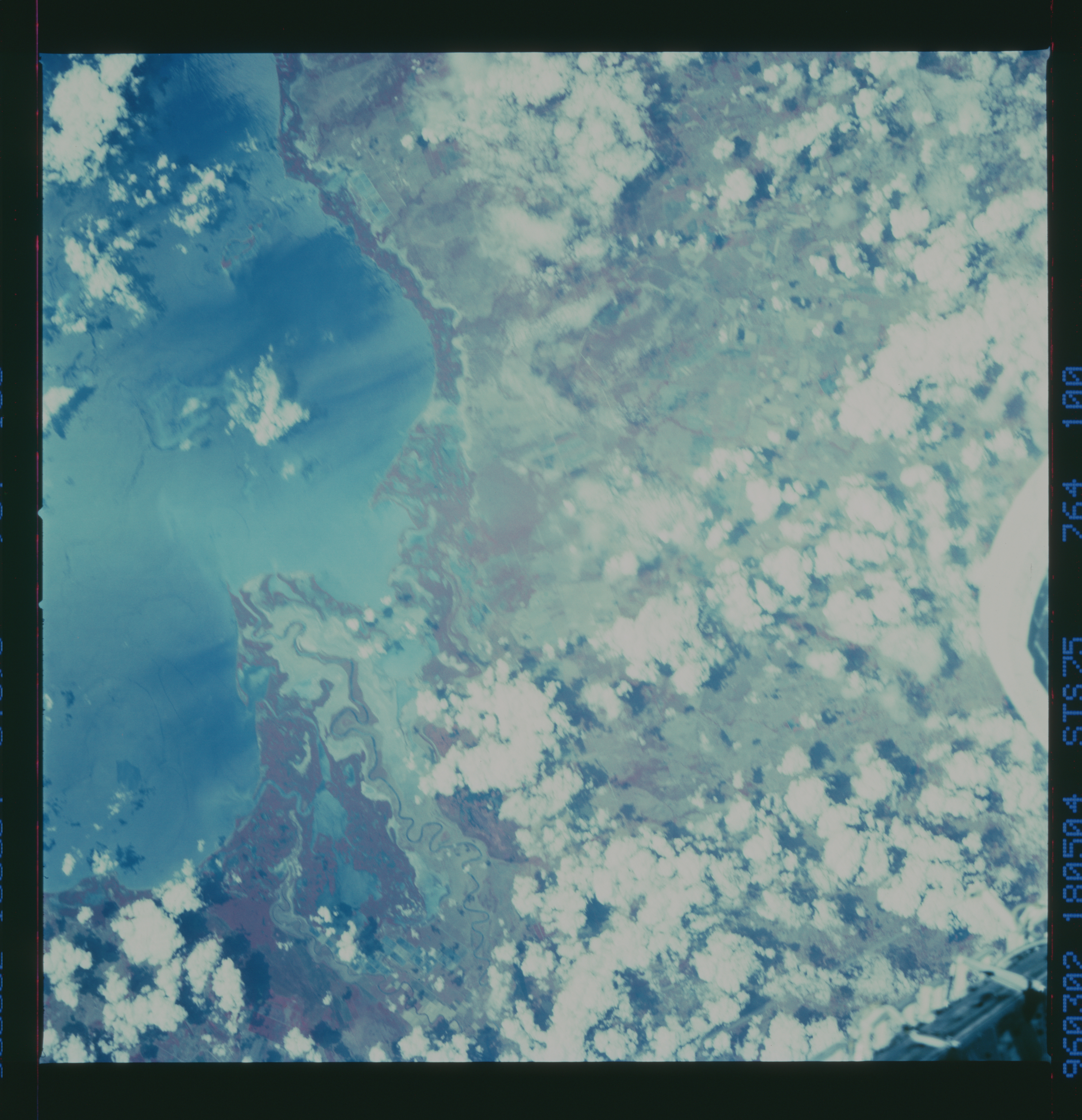 Image display