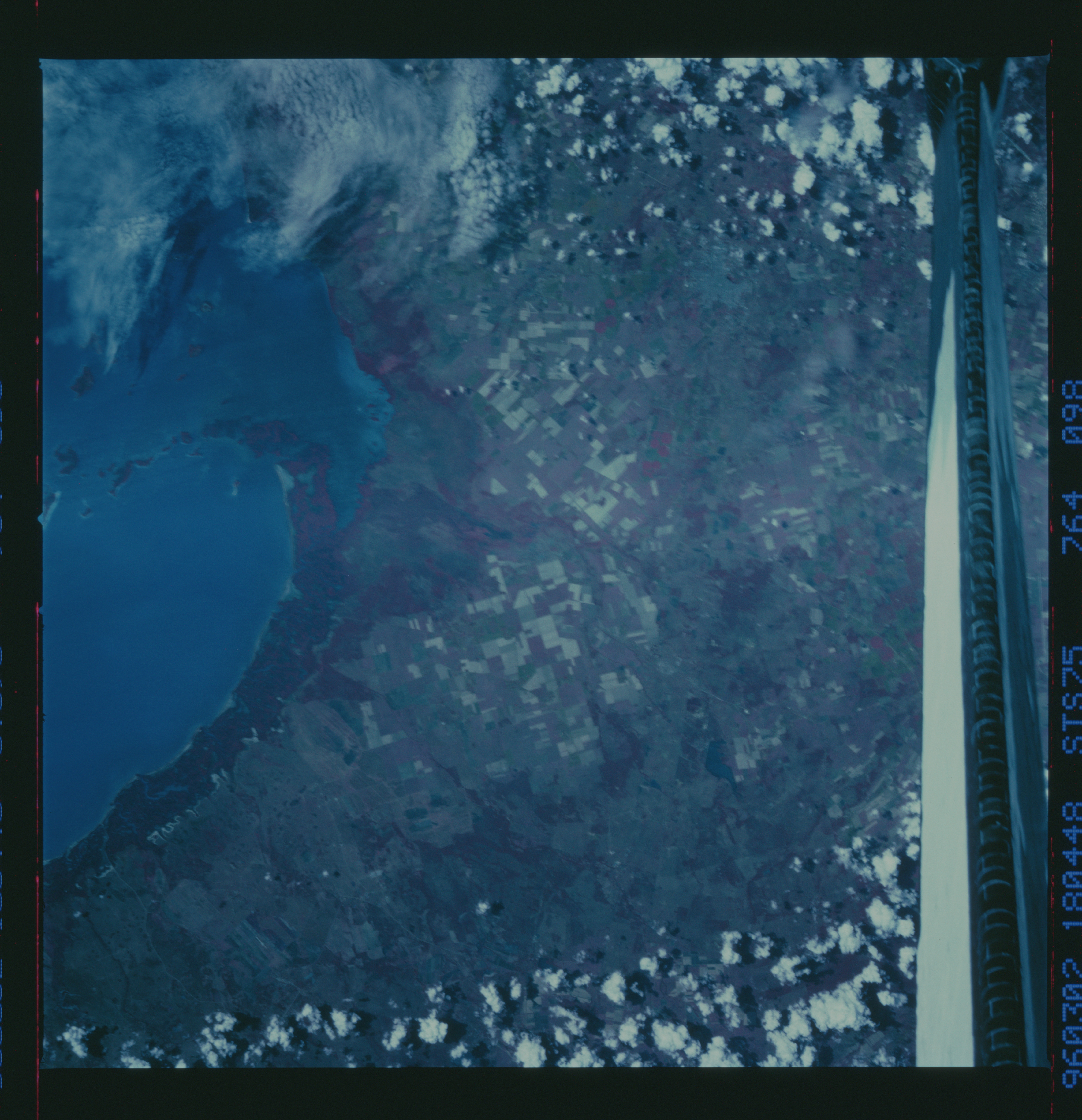 Image display
