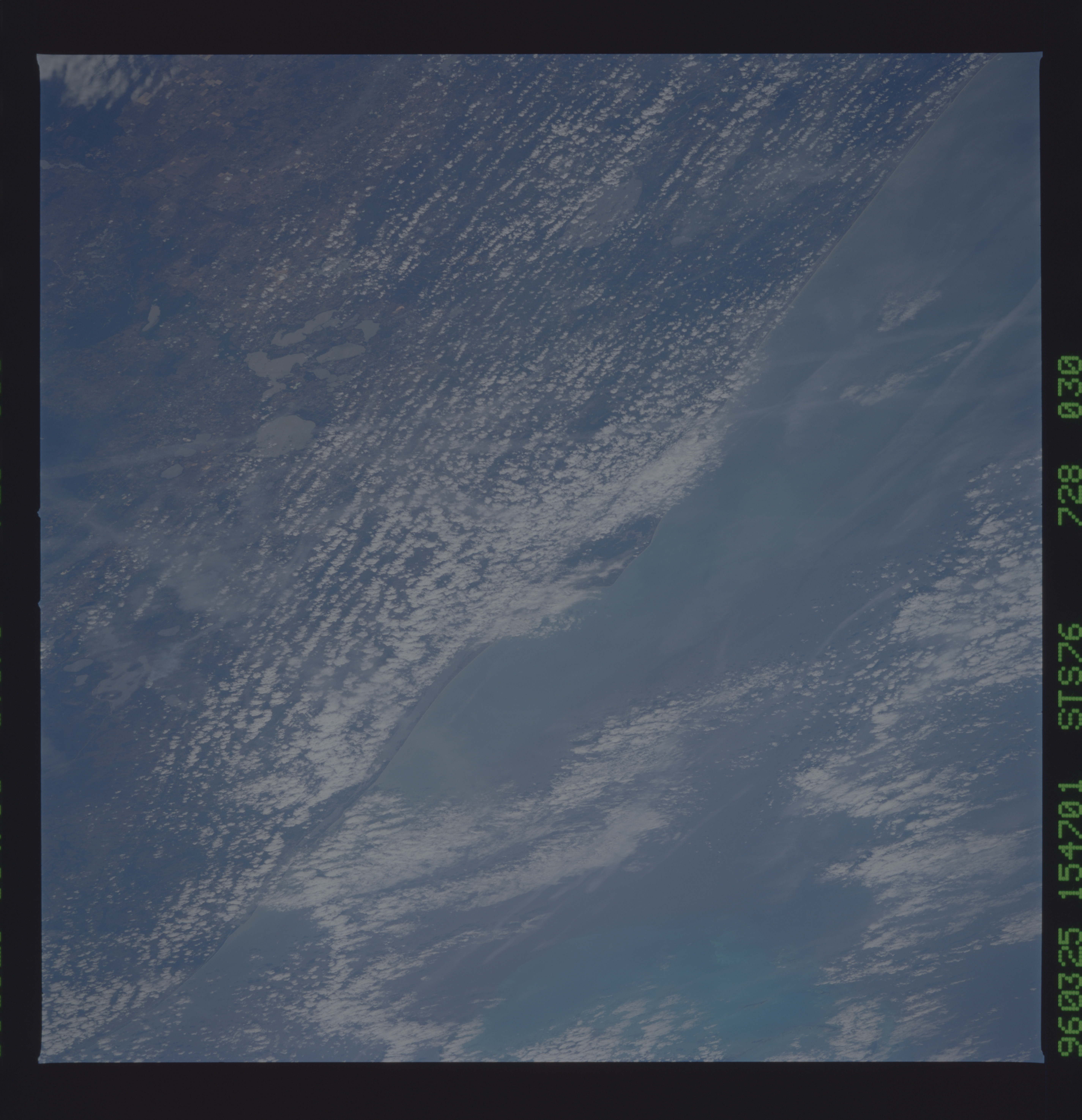 Image display