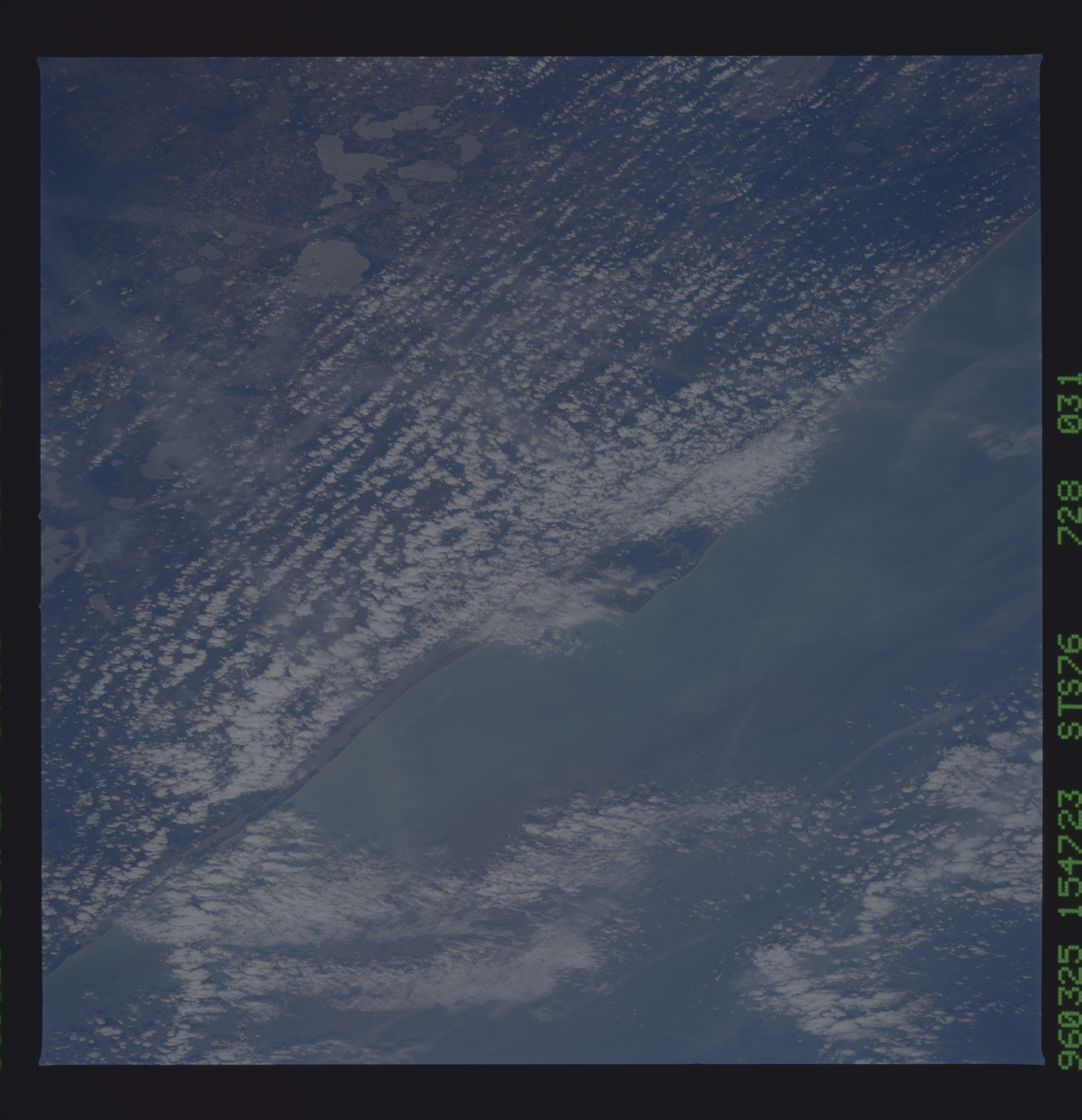Image display