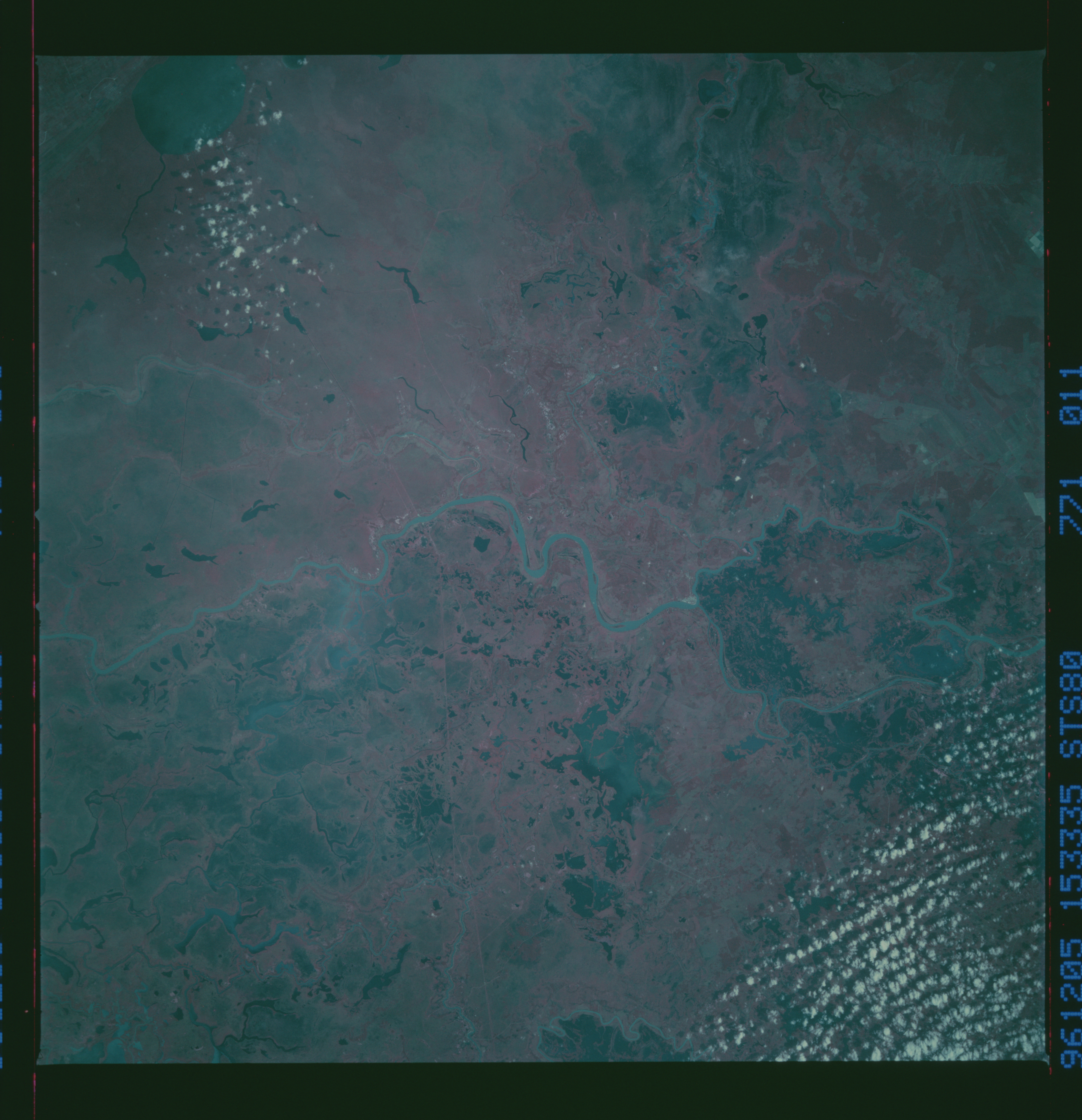 Image display