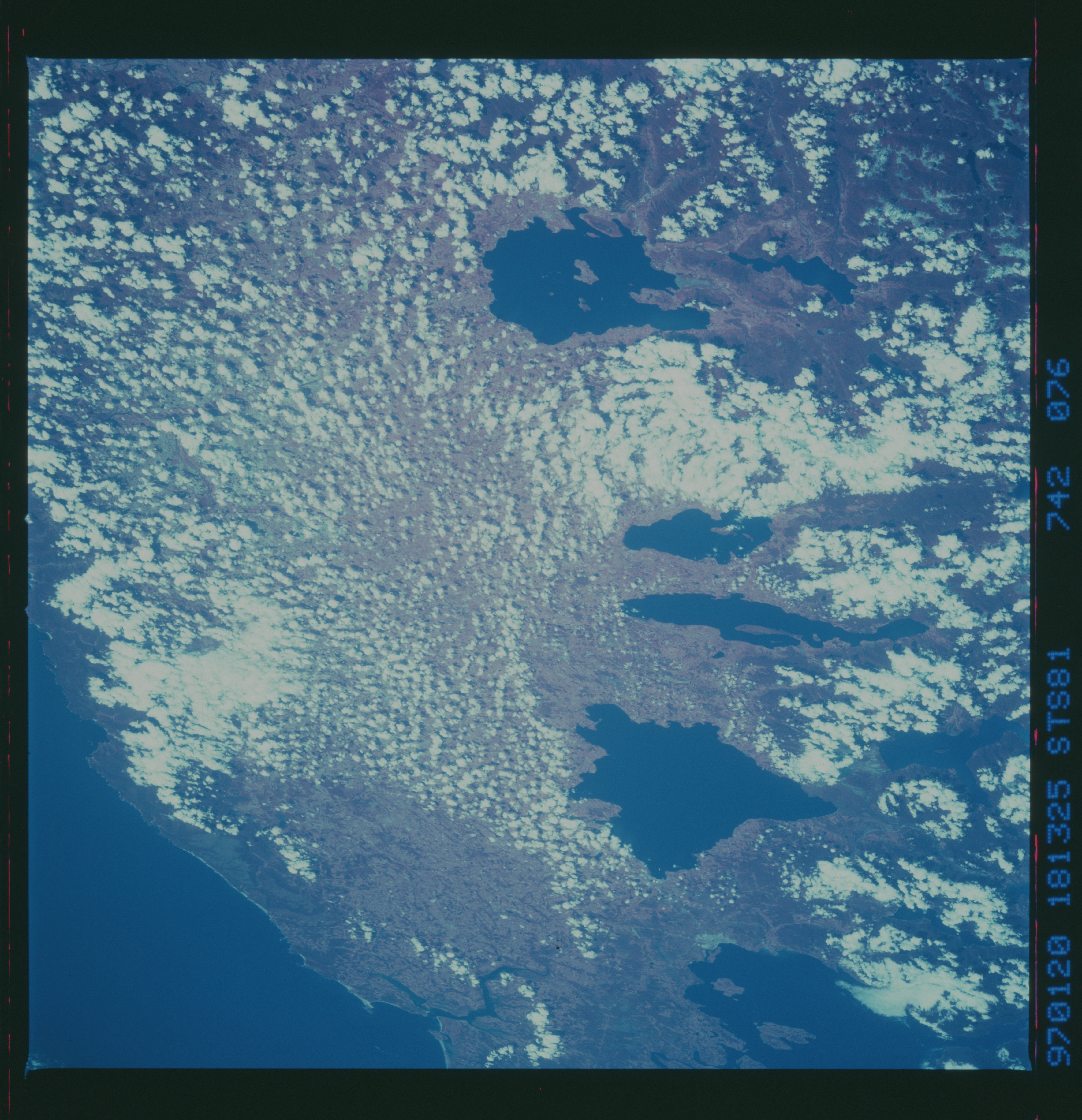 Image display