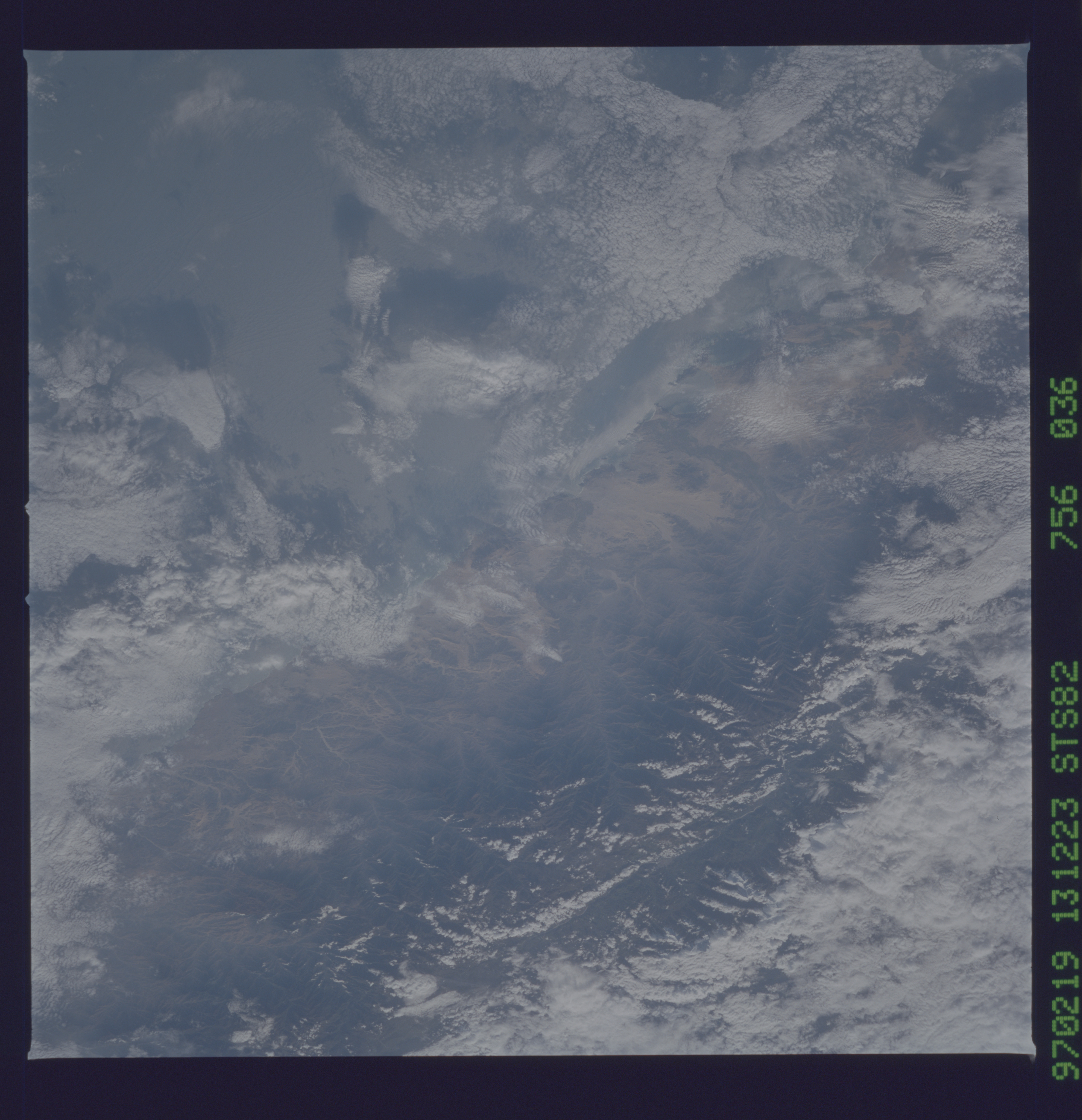 Image display