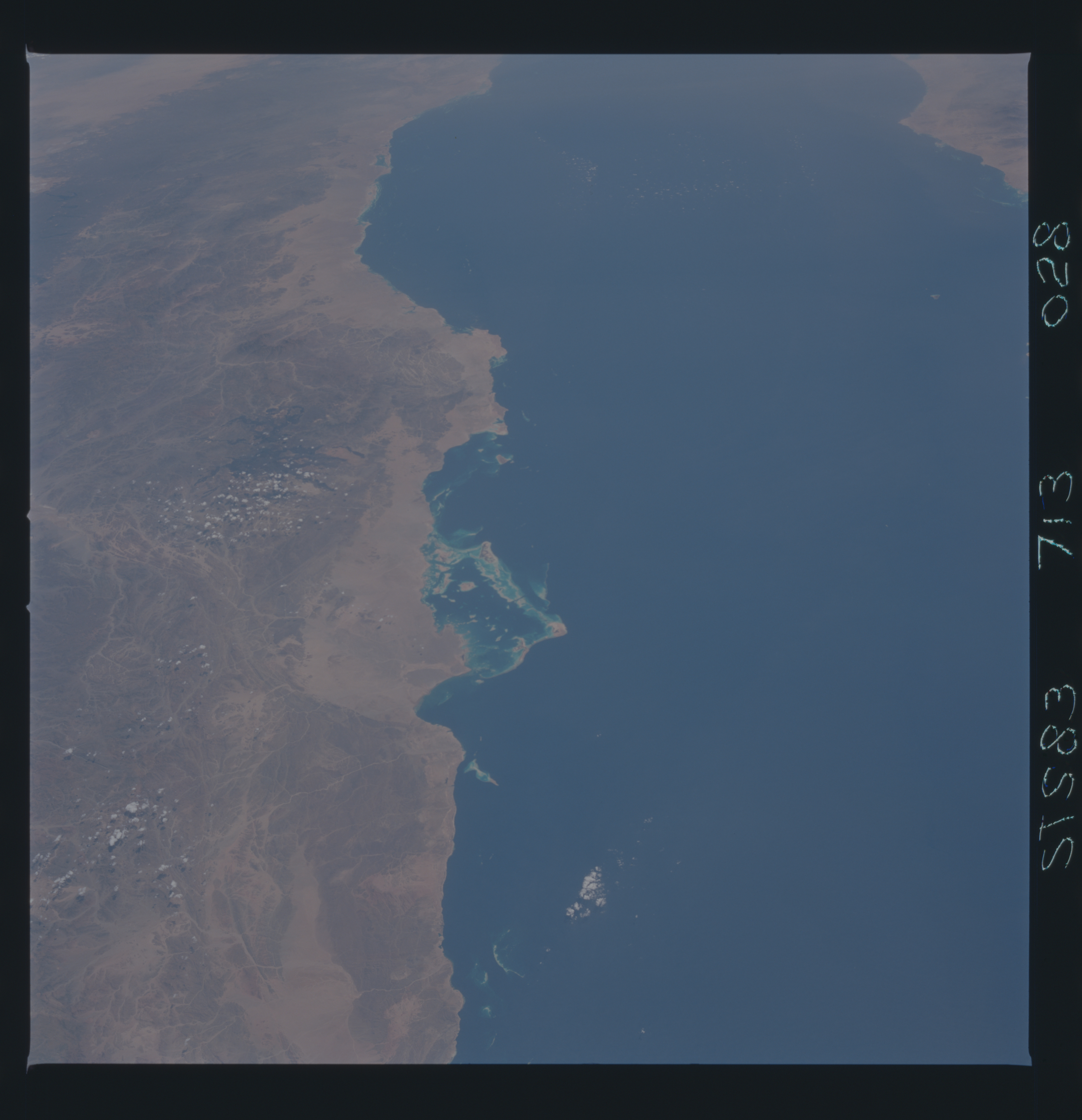 Image display