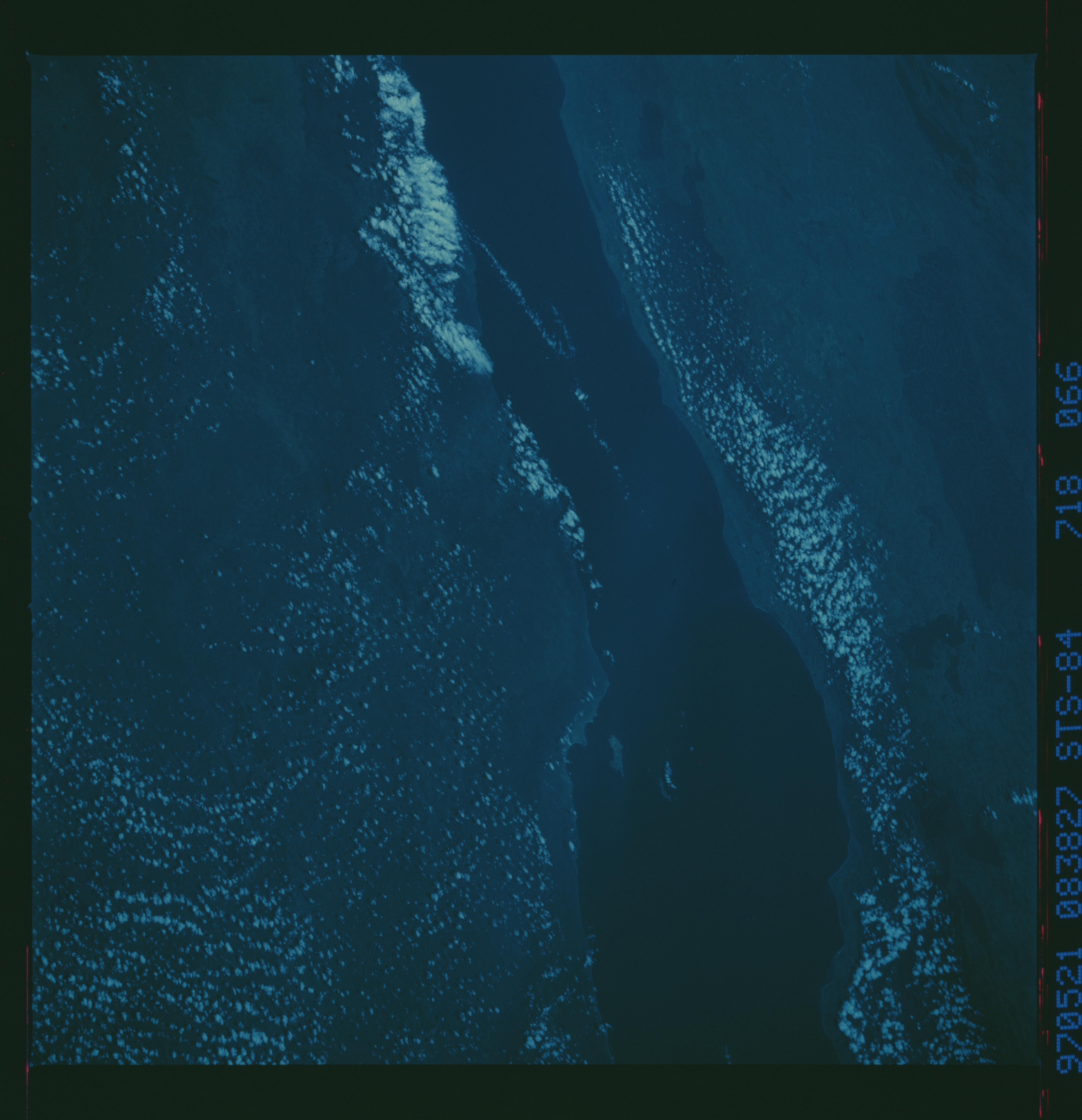 Image display