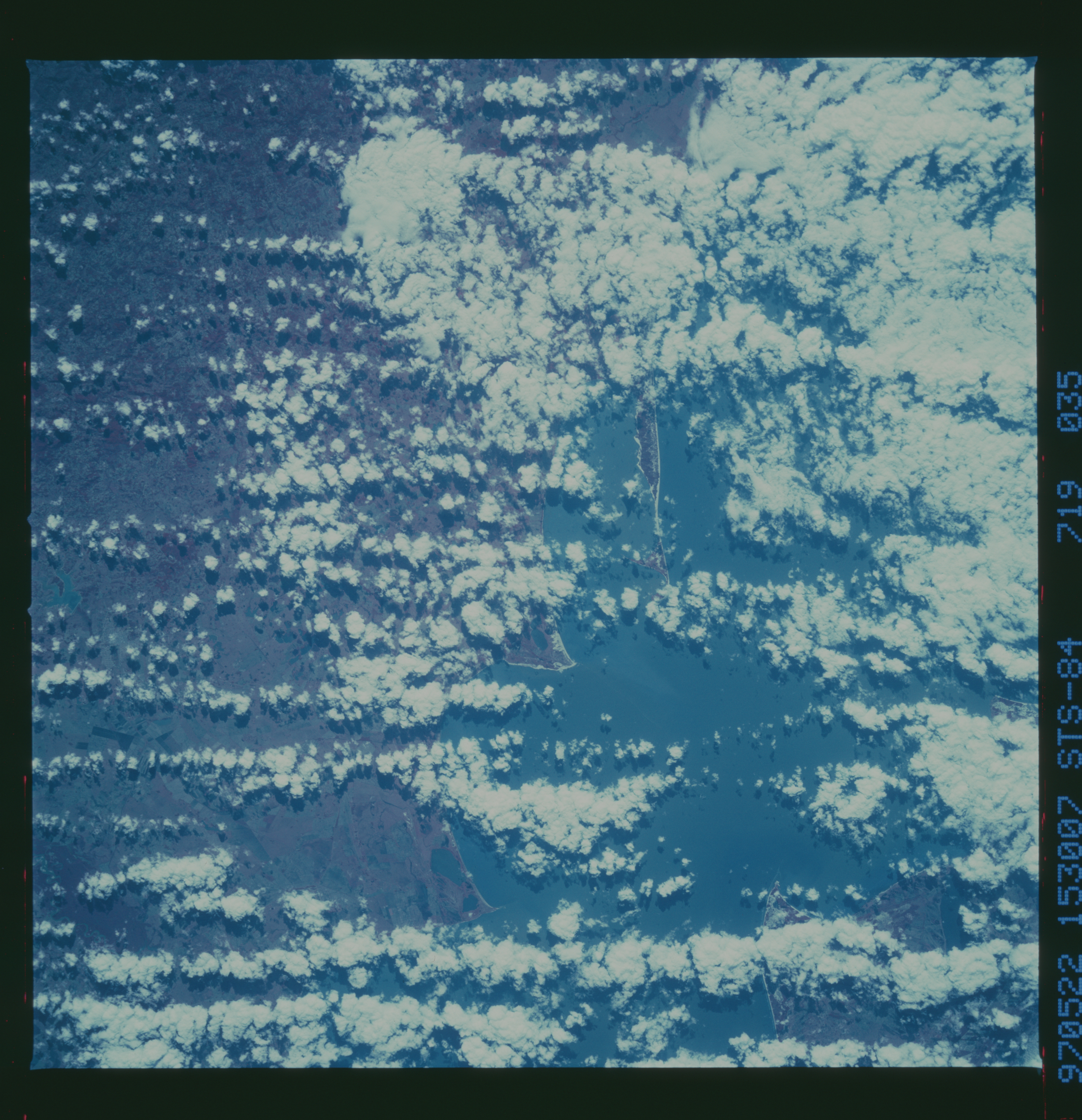 Image display