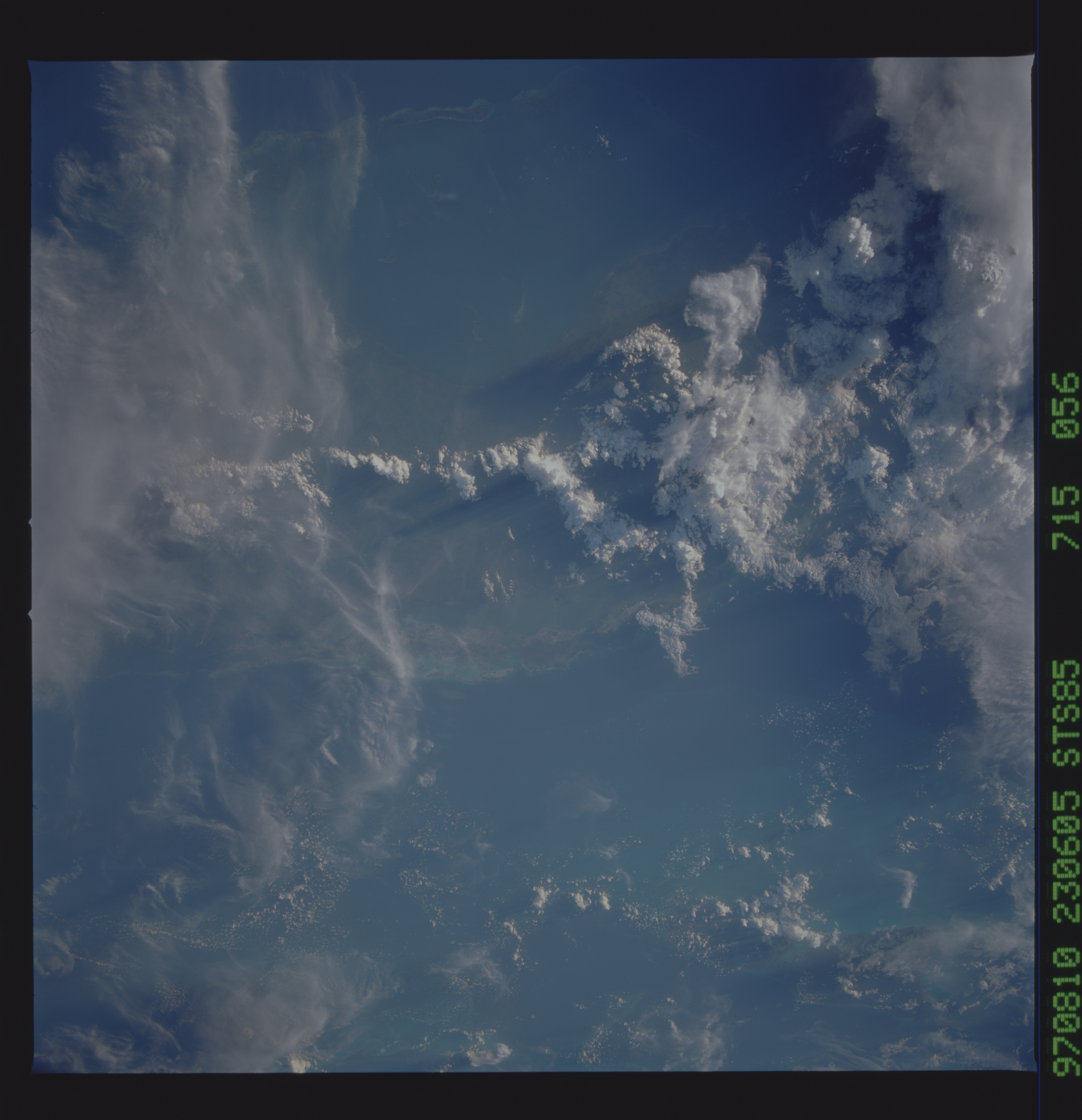 Image display