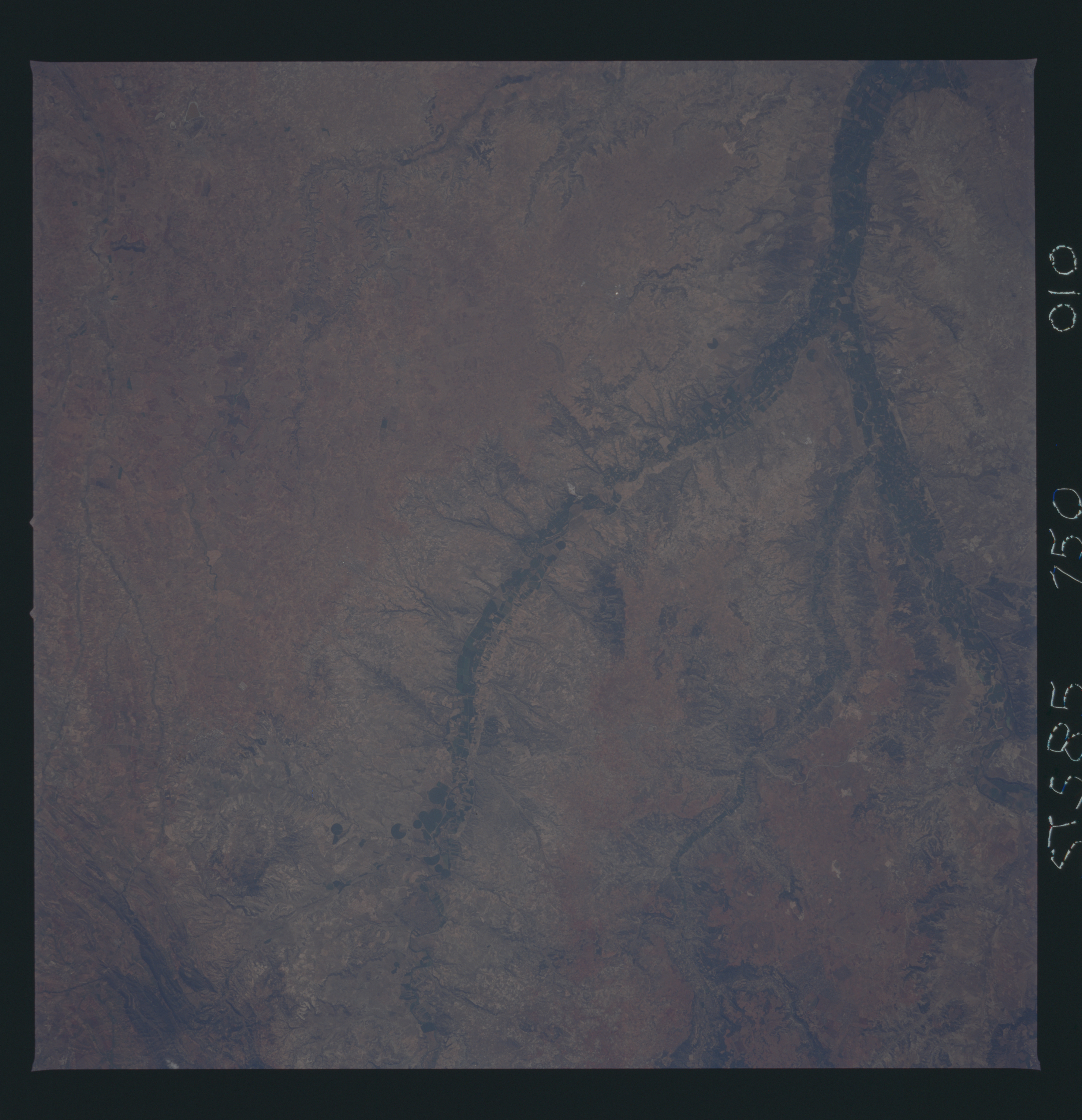 Image display