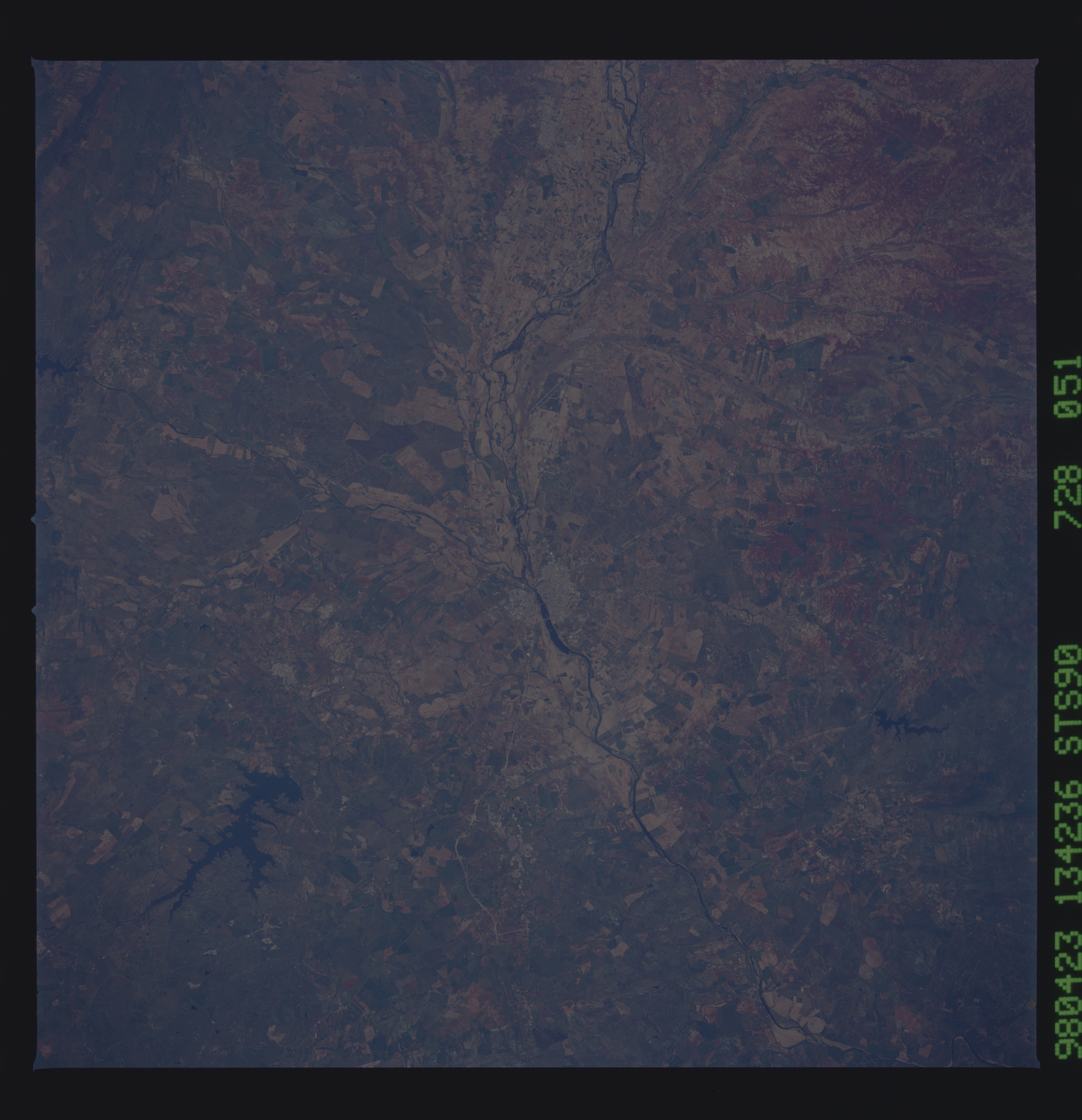 Image display