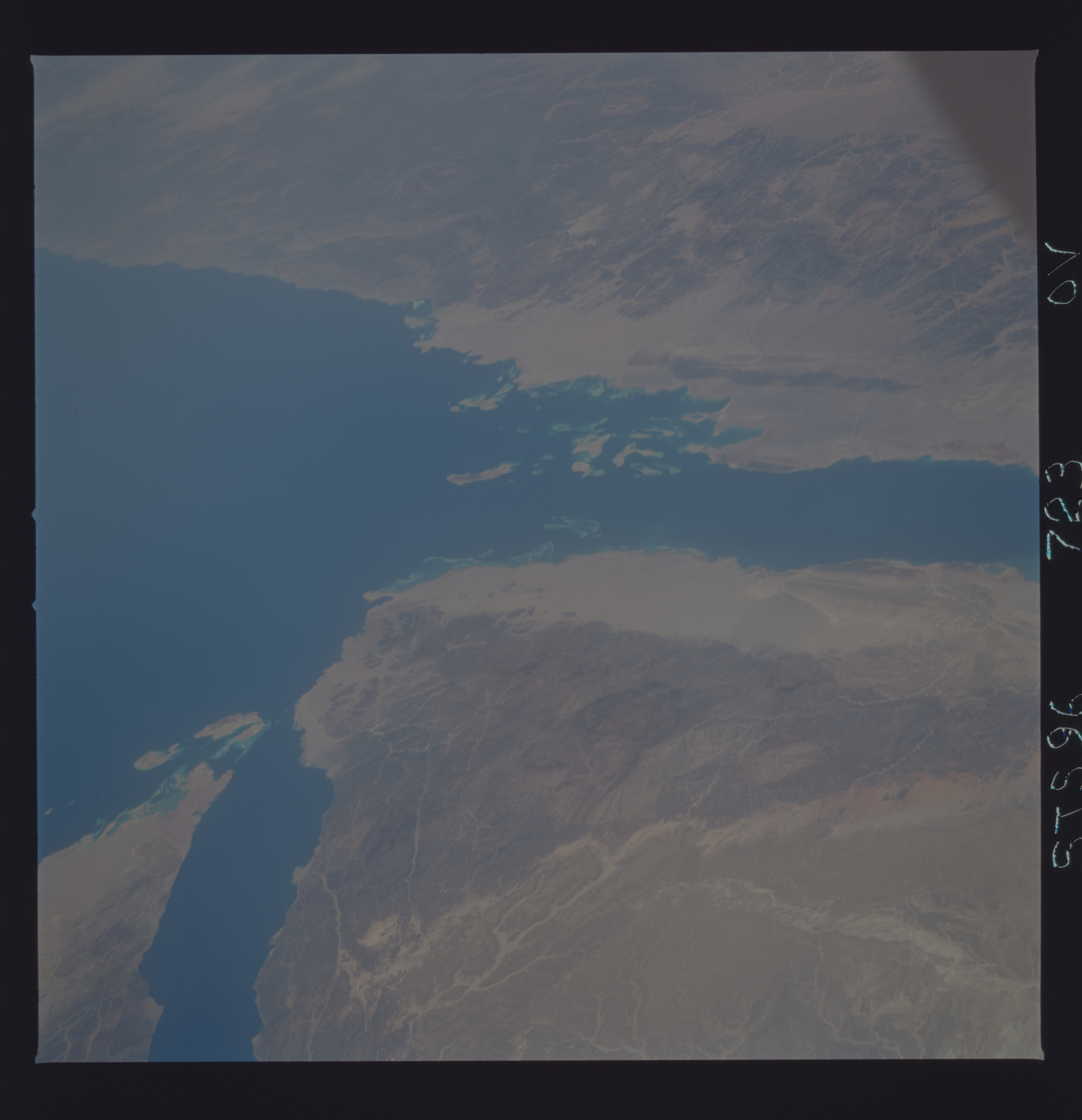 Image display