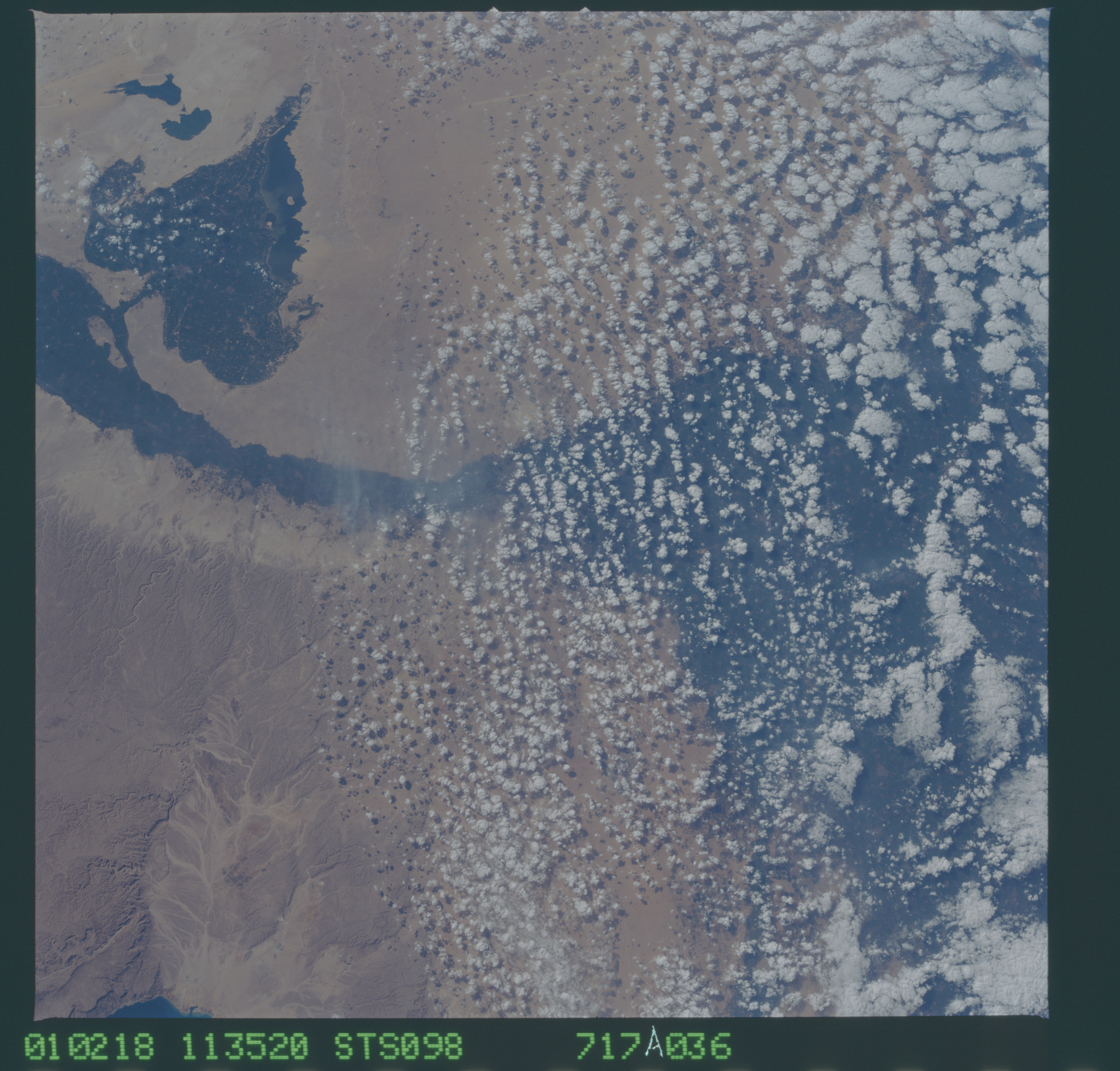 Image display