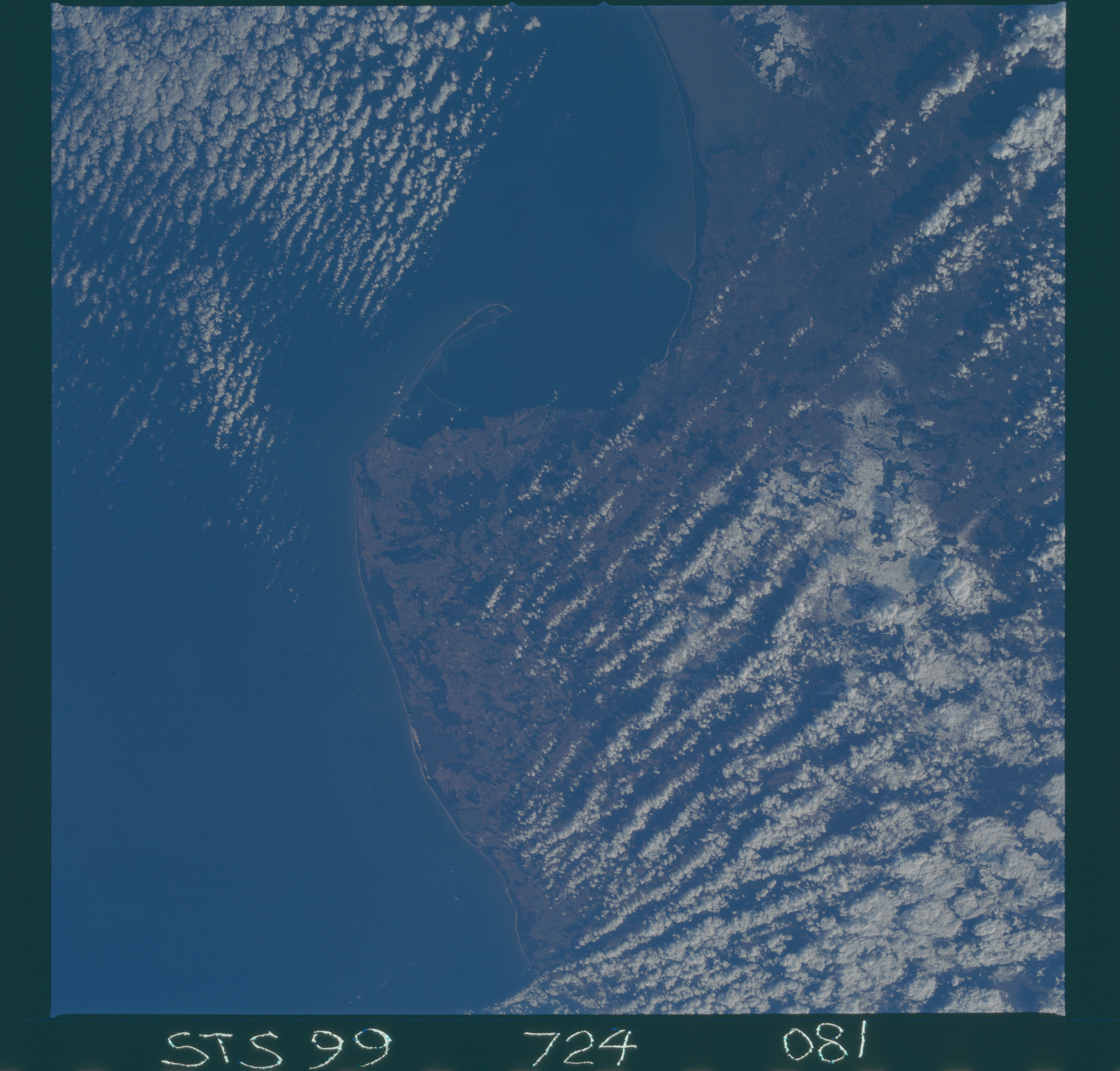 Image display