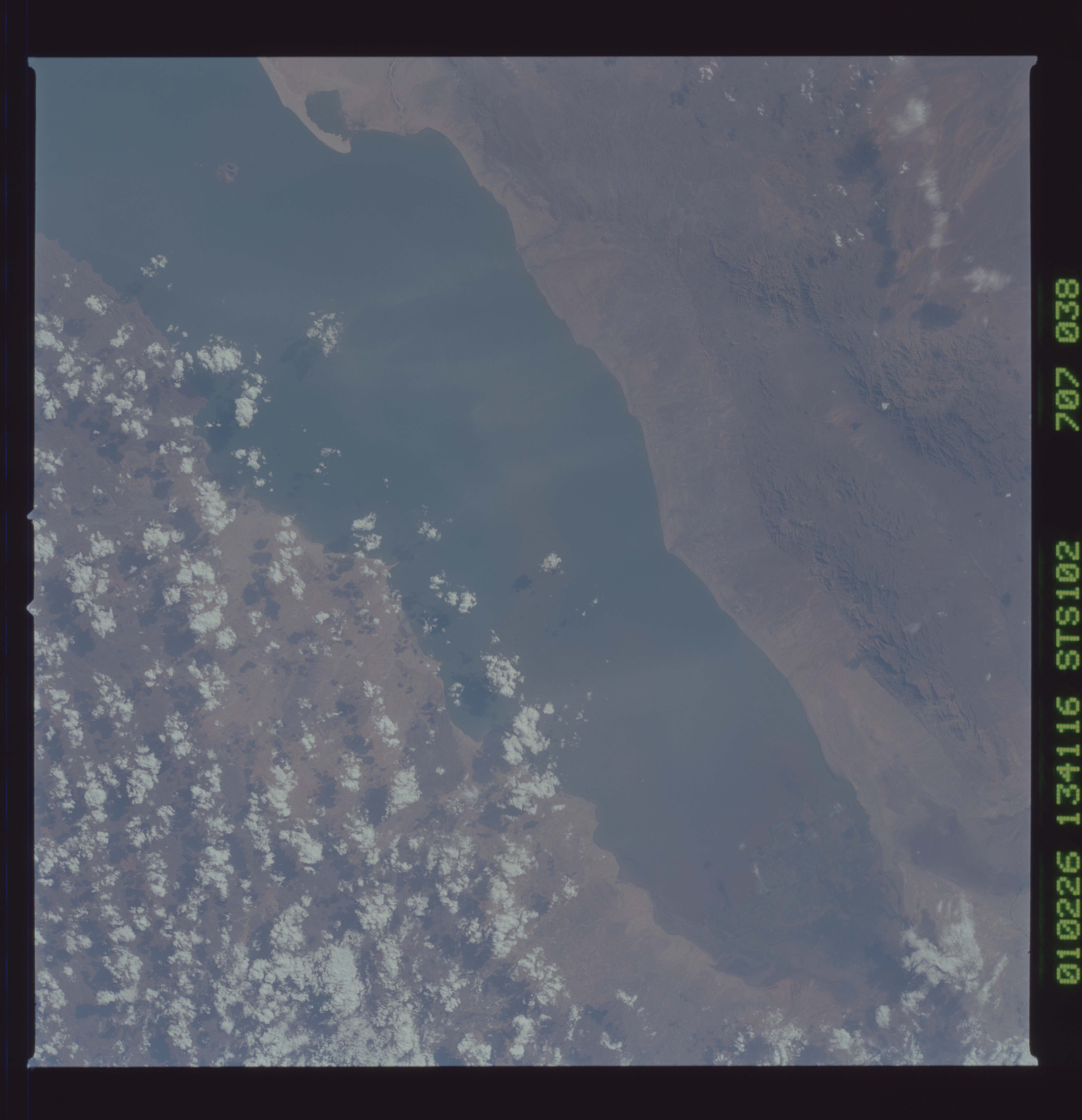 Image display