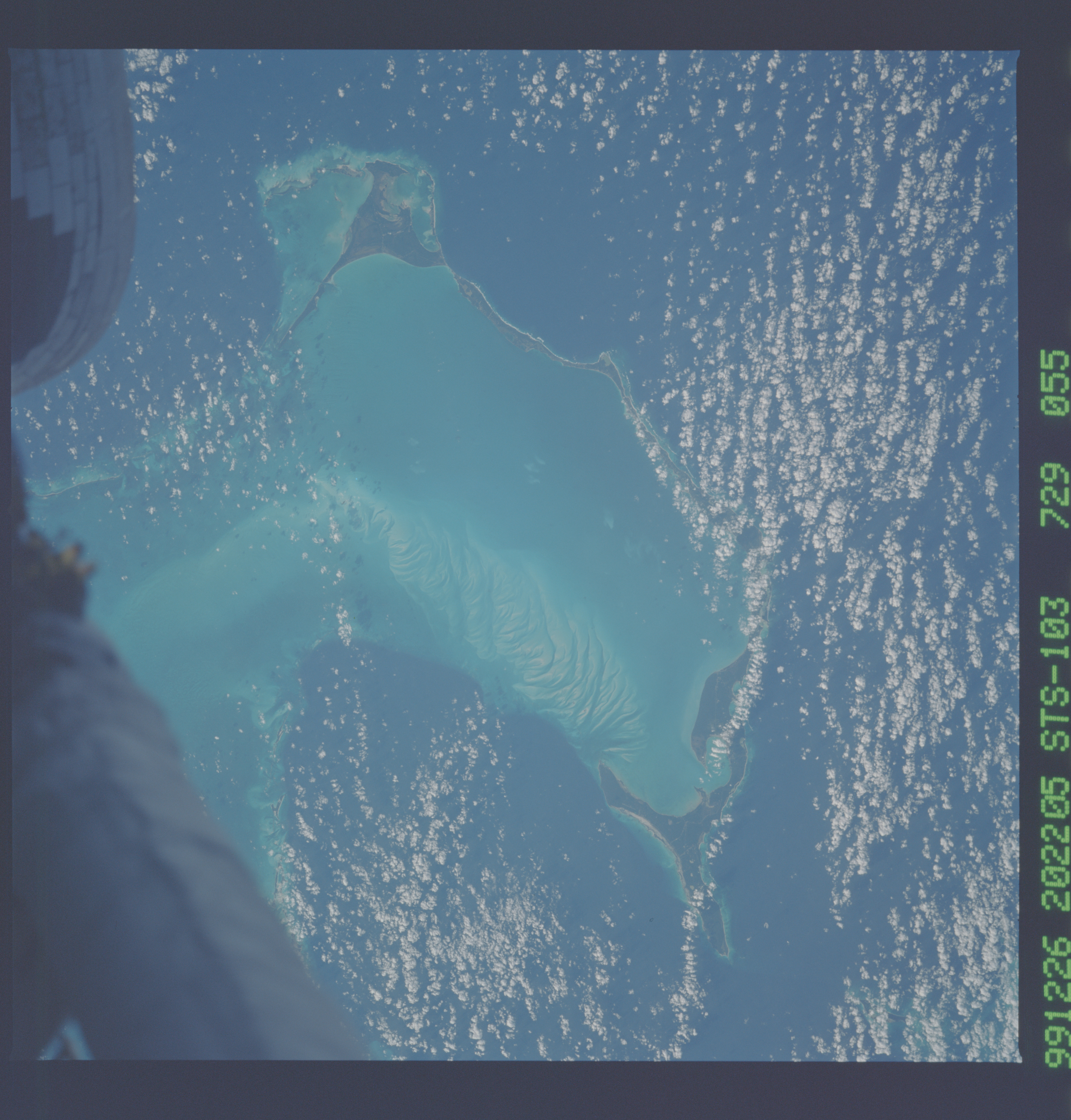 Image display