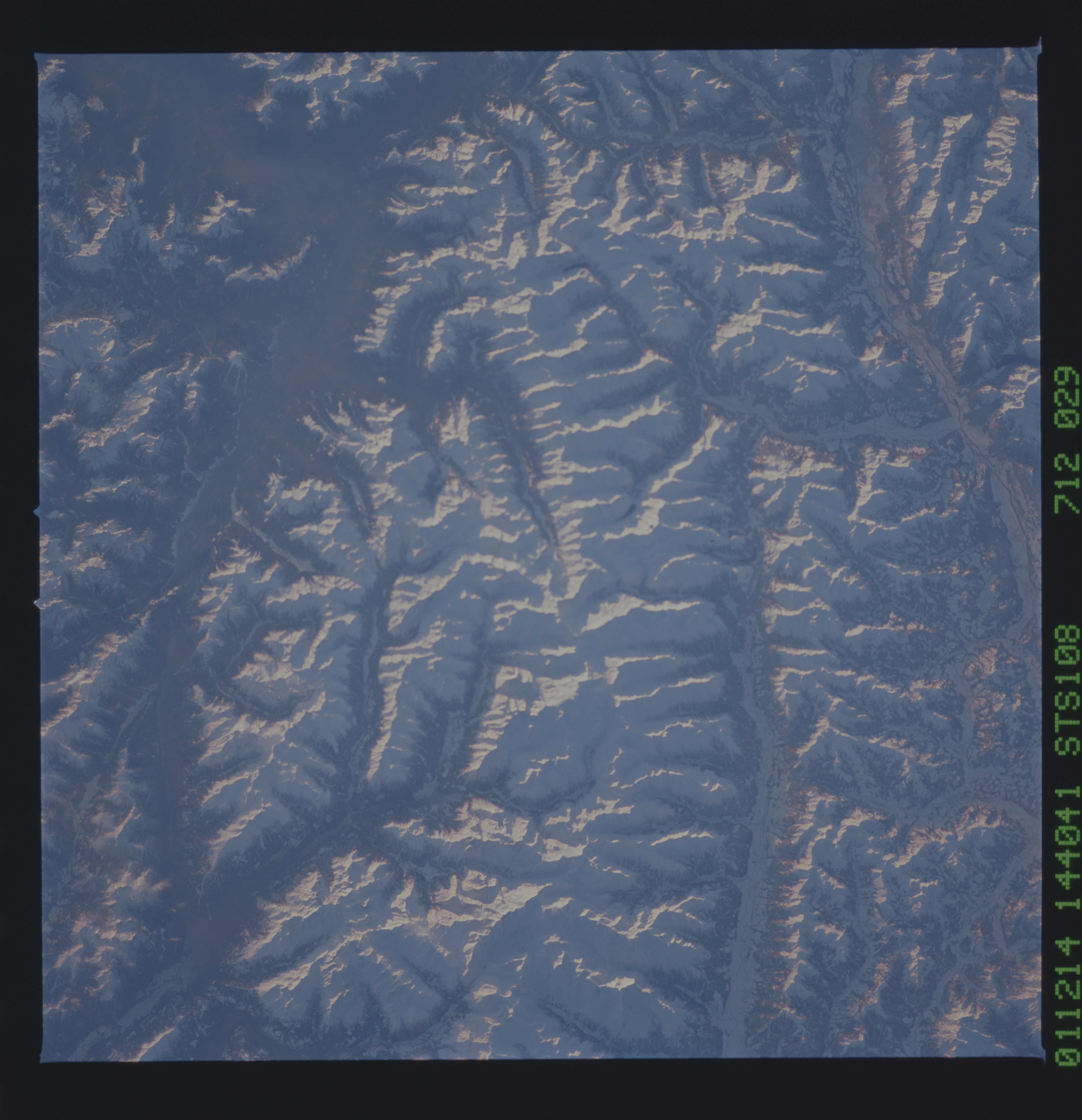 Image display