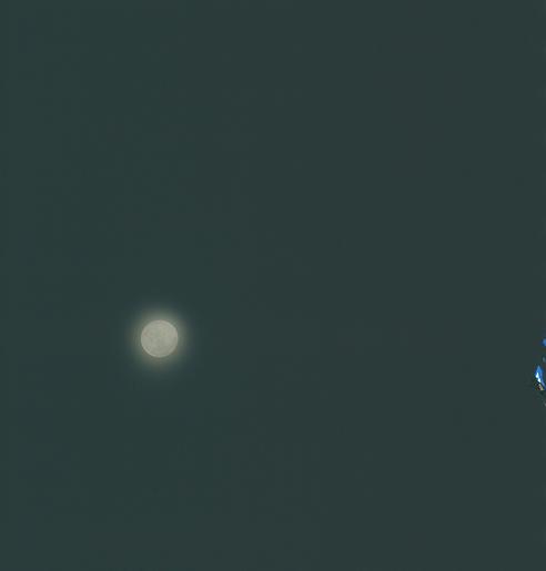 Browse image