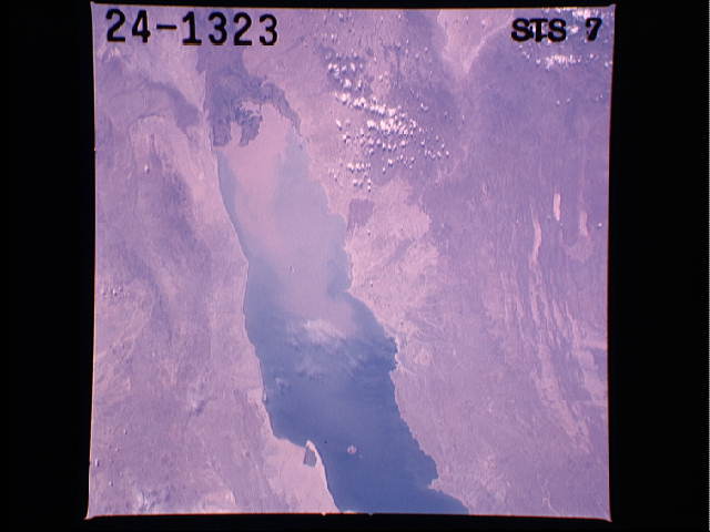 Image display