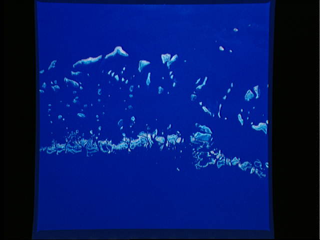 Image display