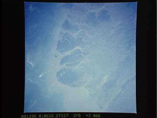 Image display