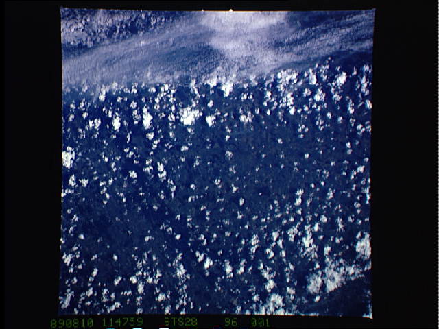 Image display