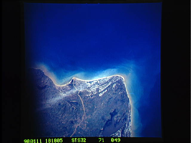 Image display
