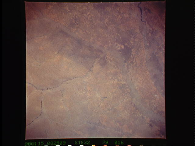 Image display