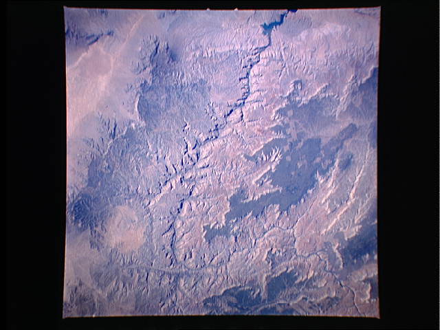 Image display