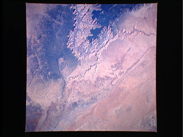 Image display